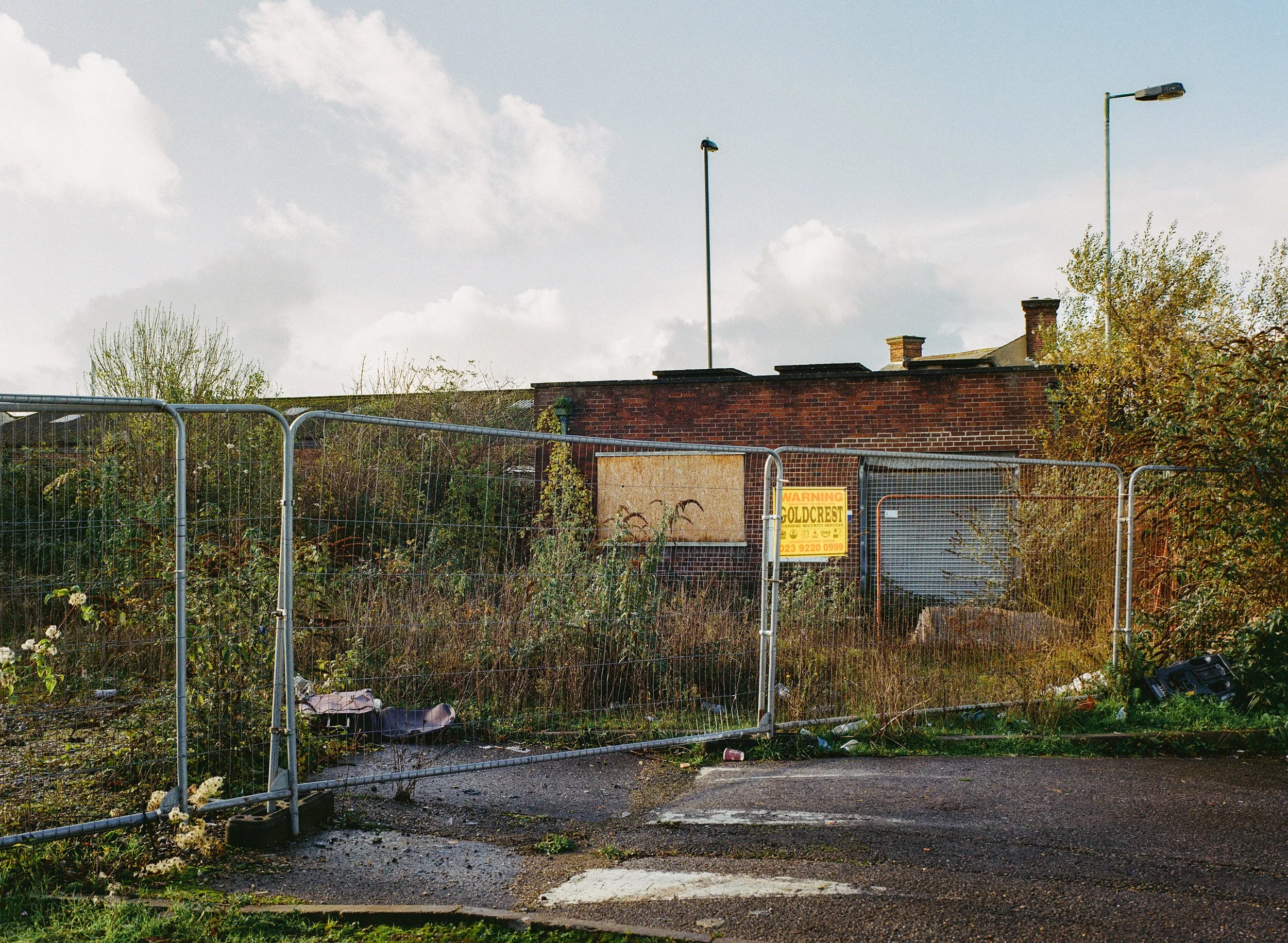 Southampton_Gold_Nov_11.jpg