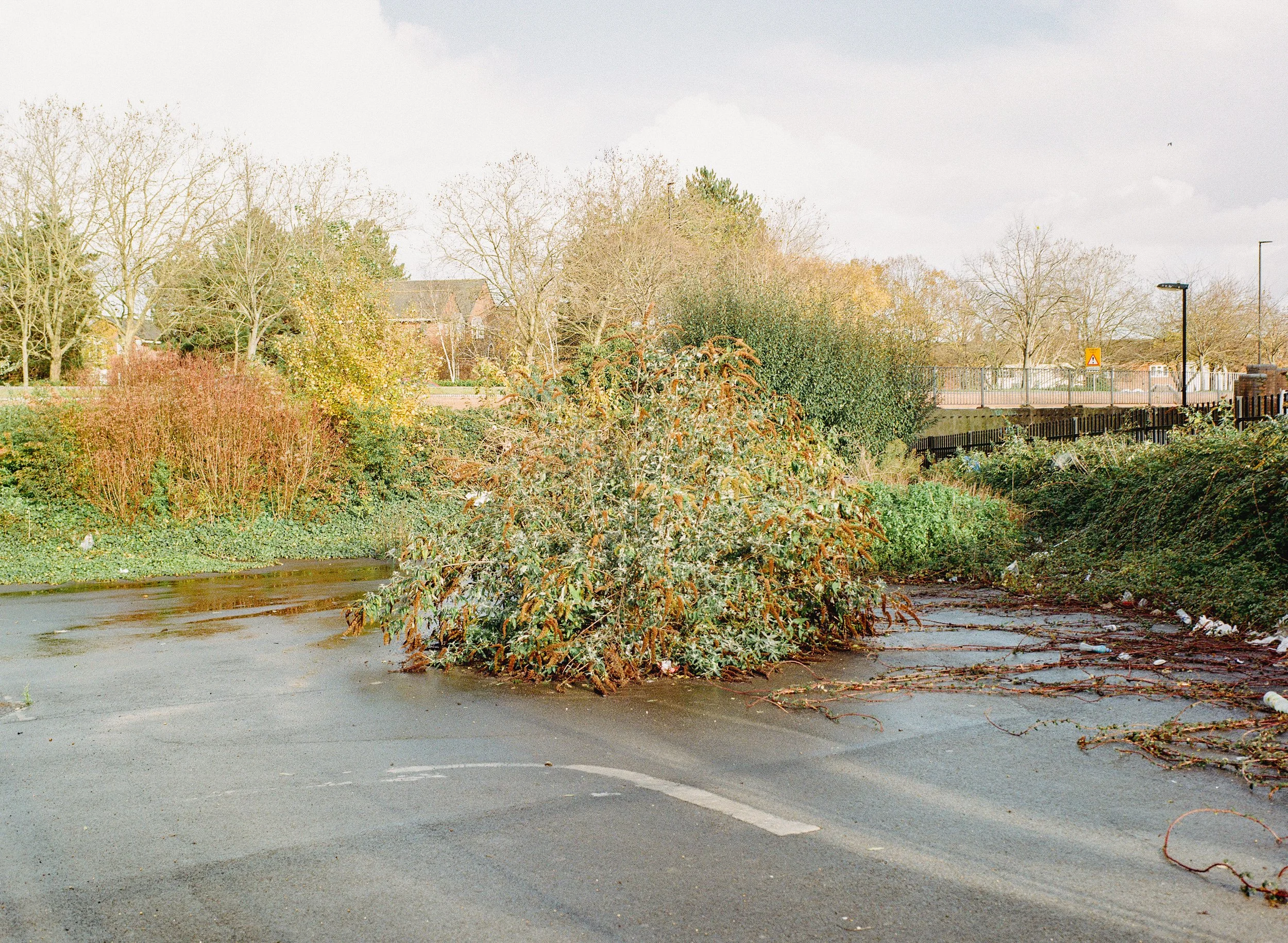 Southampton_Gold_Nov_15.jpg