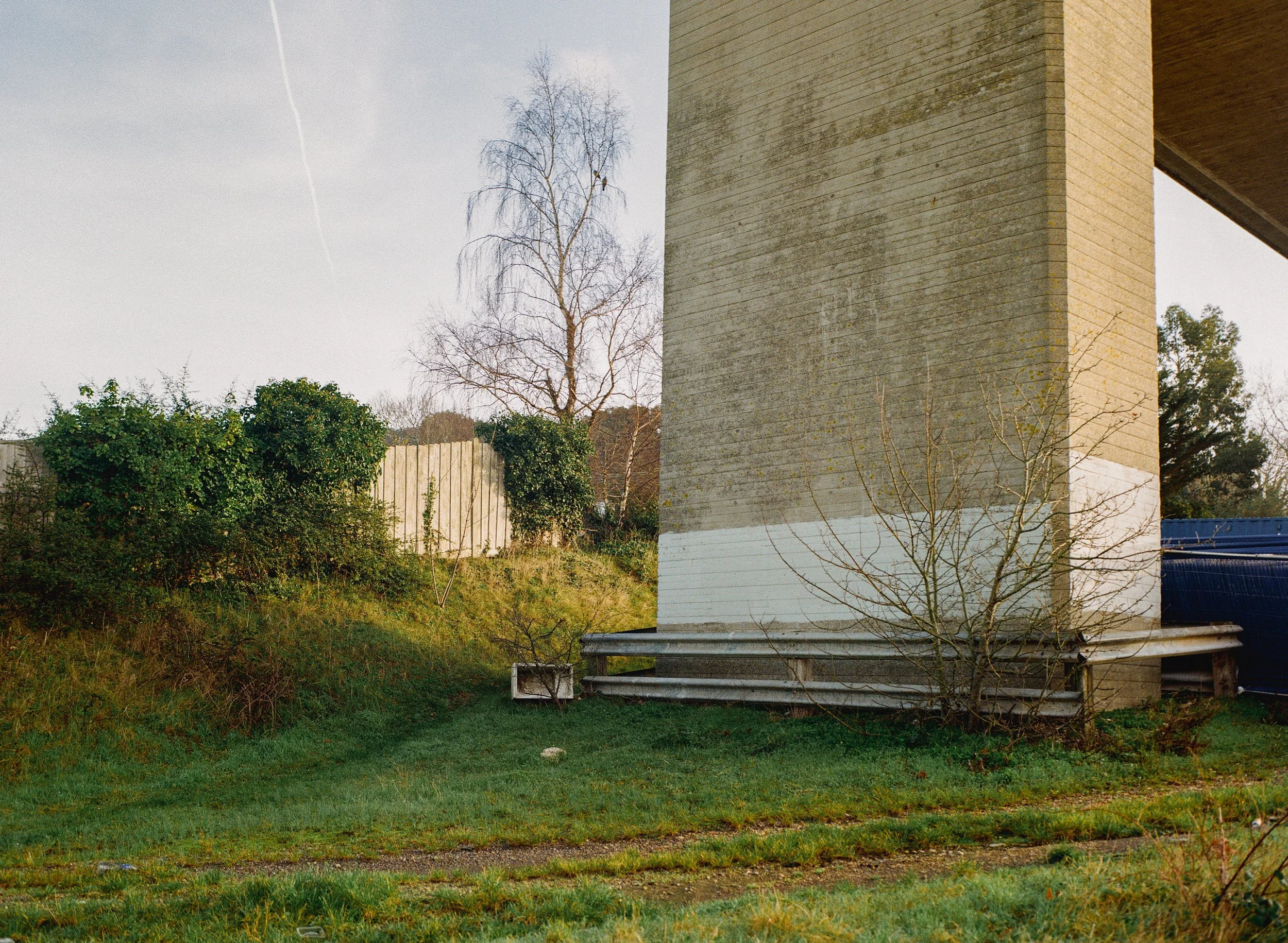 Woolston_Feb_Gold_01.jpg