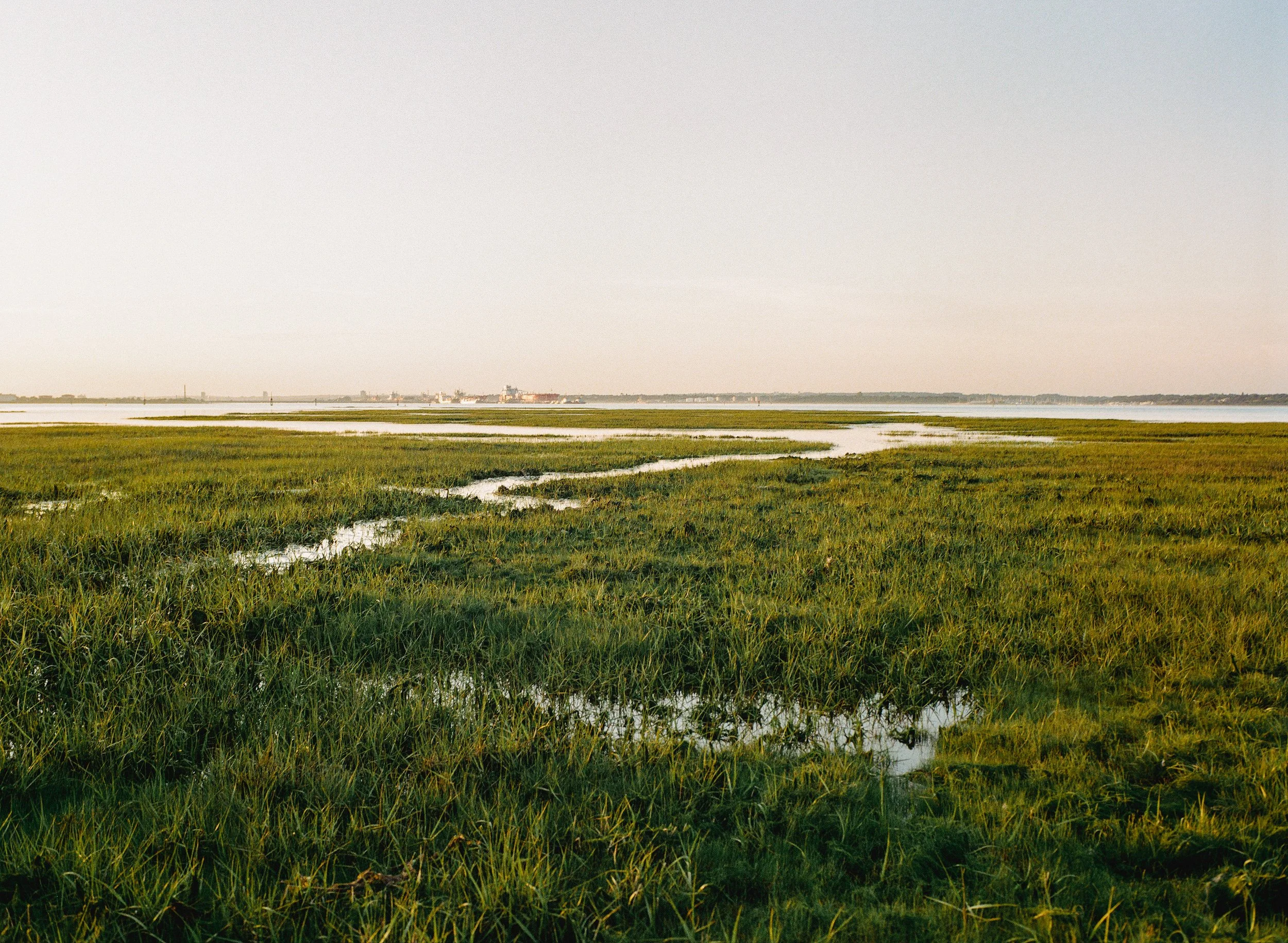 43_Calshot_Gold_24.jpg