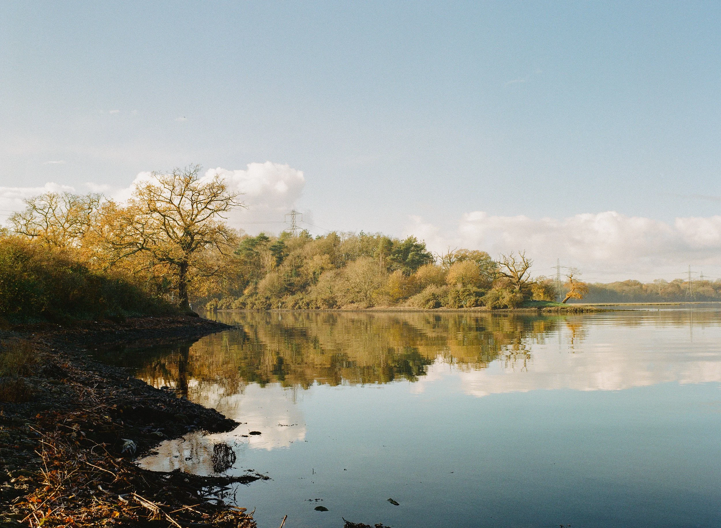 43_Marchwood_Beach_Gold_3.jpg
