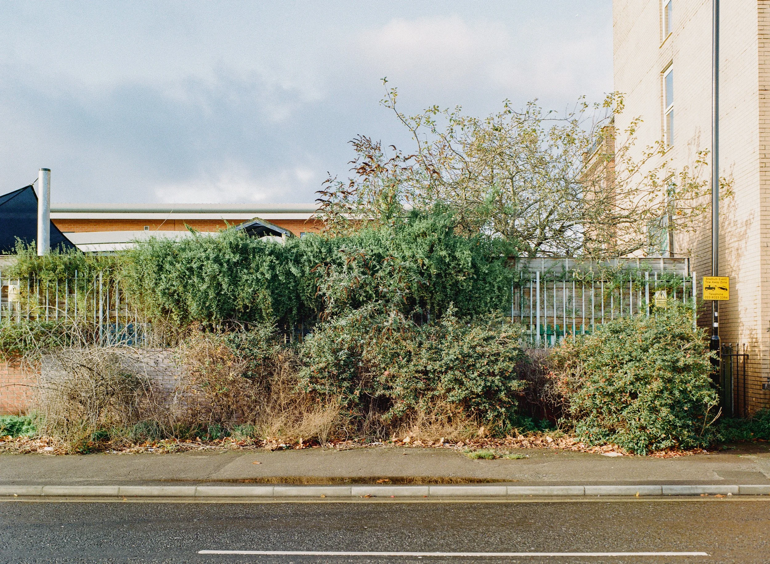 Southampton_Gold_Nov_12.jpg