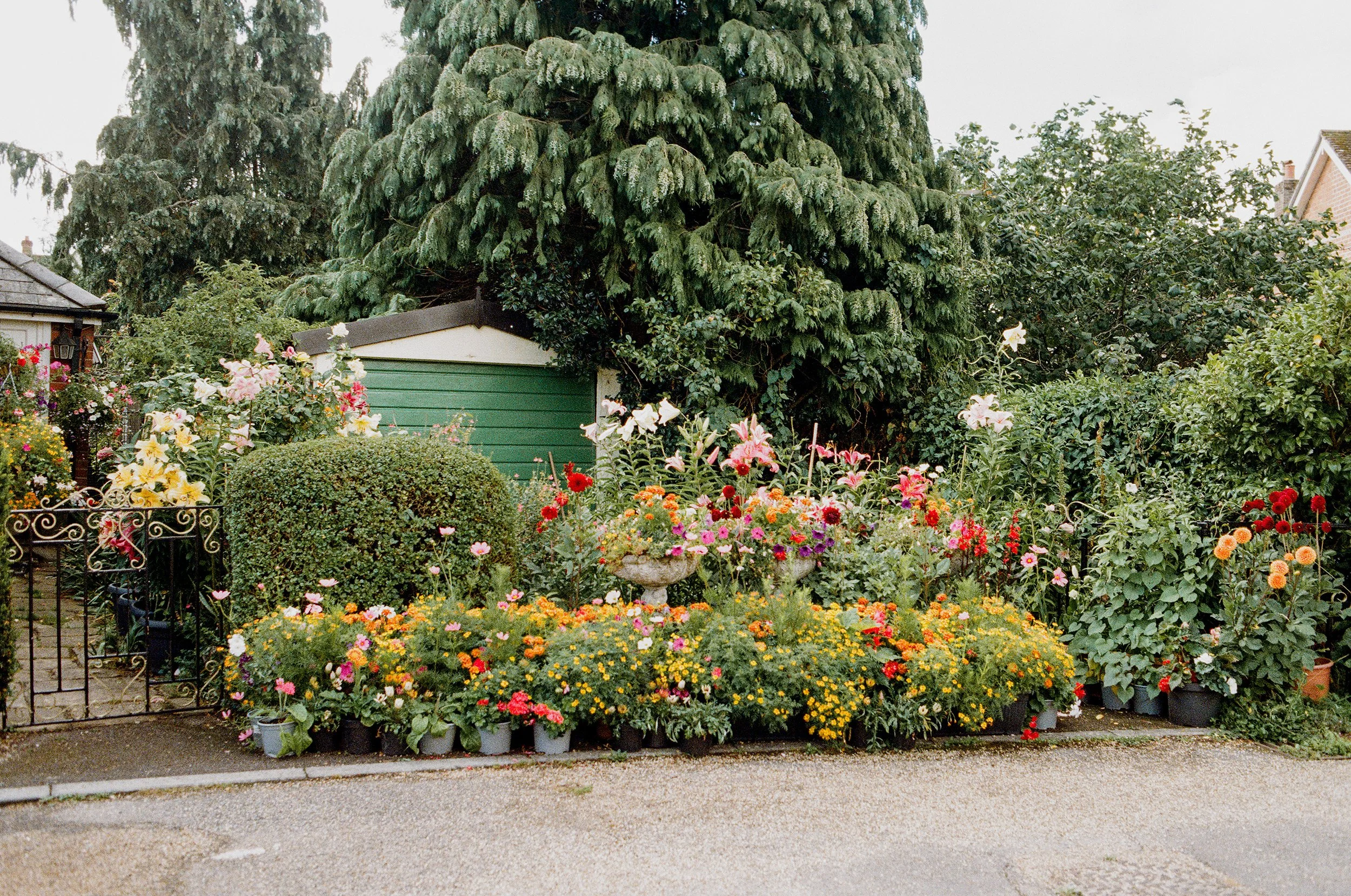 Ringwood_July_4.jpg