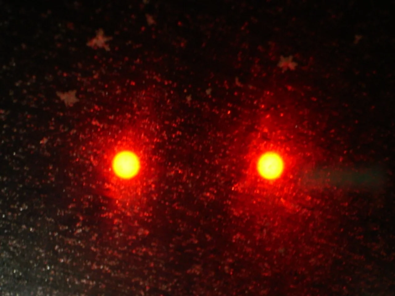 DSC01712.JPG