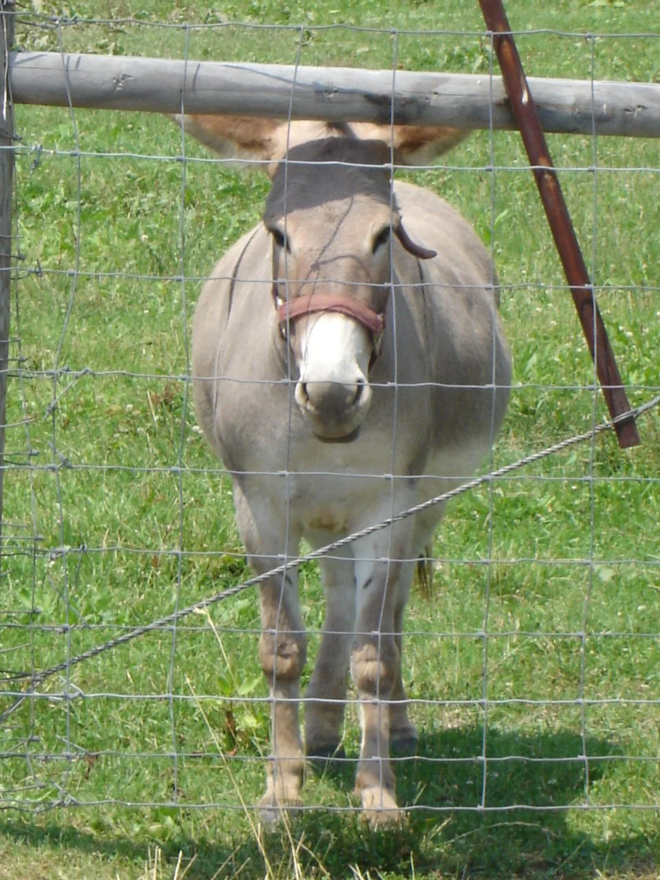 DSC03172.JPG