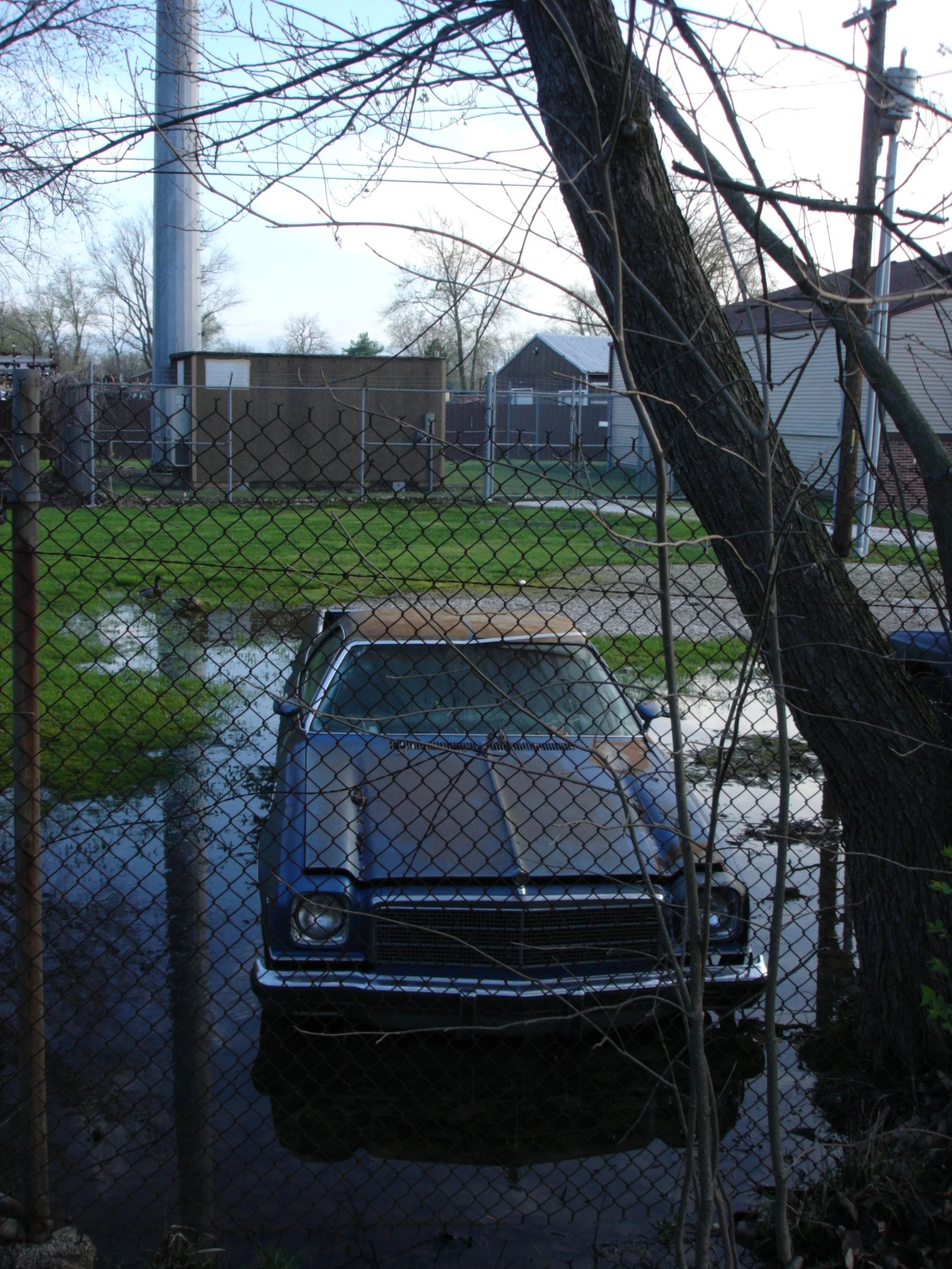 DSC00725.JPG