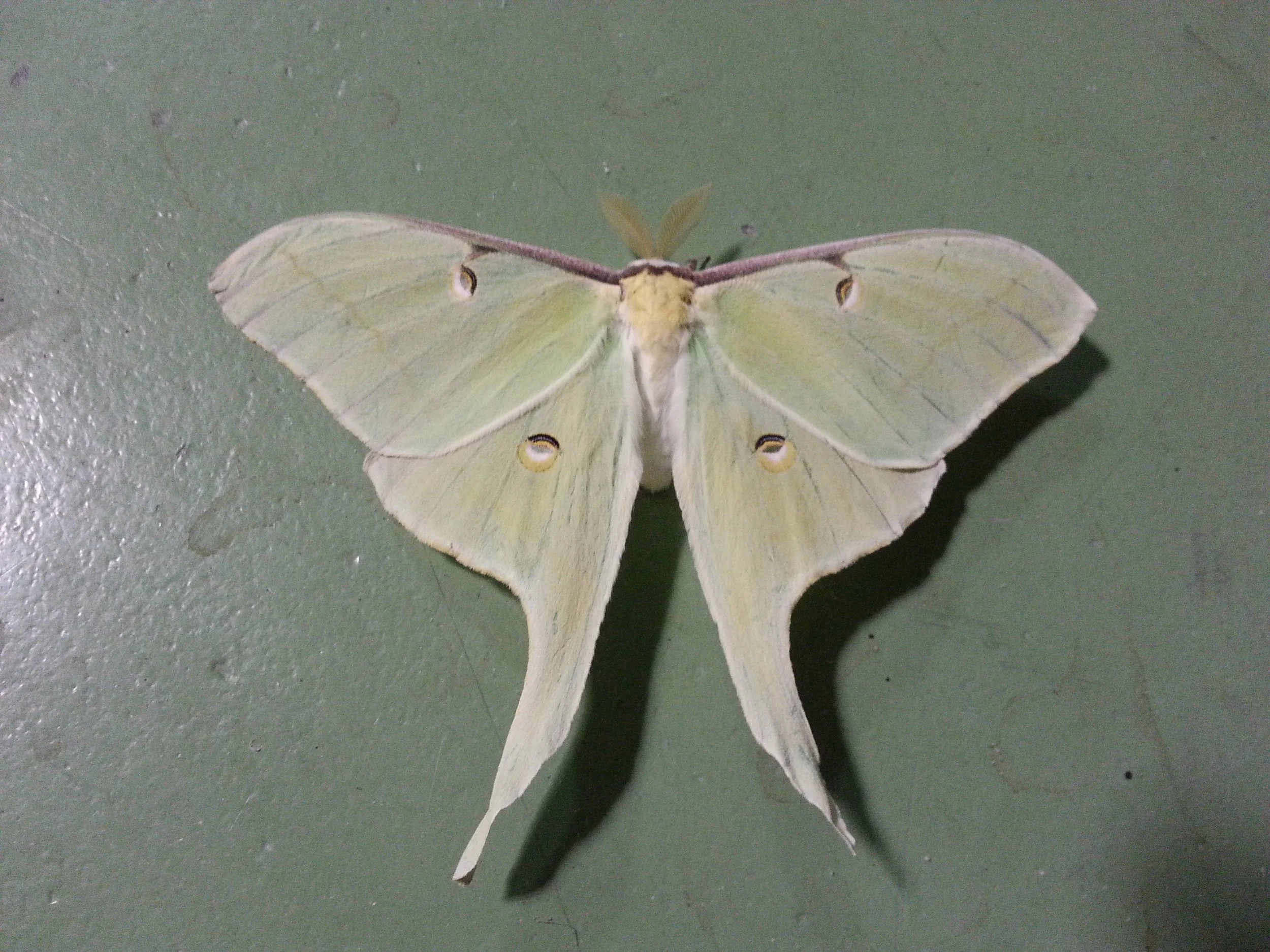 20150730_055702.jpg