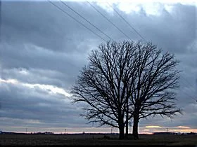 Feb. 14,05.jpg