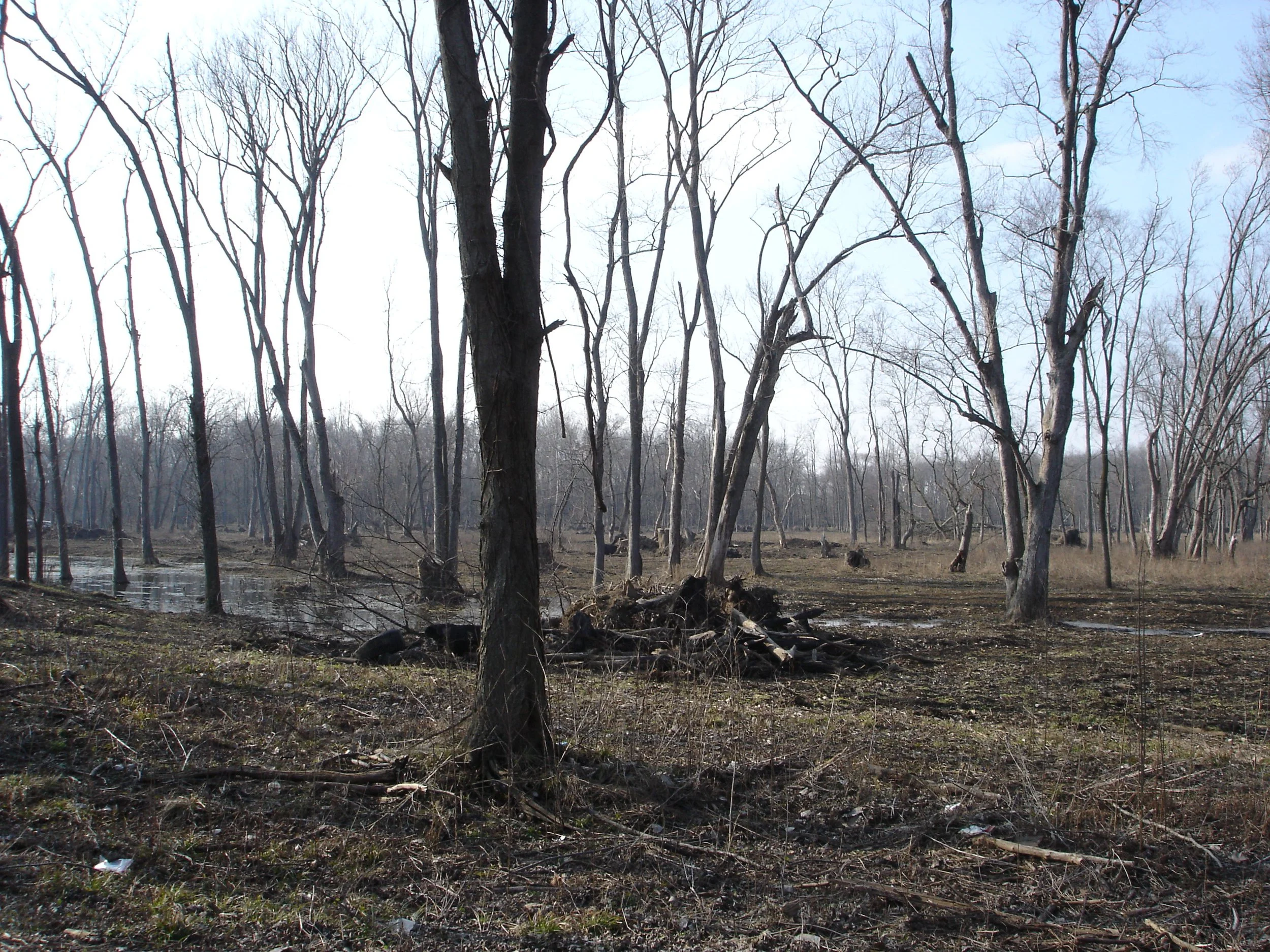 a site of the country.JPG
