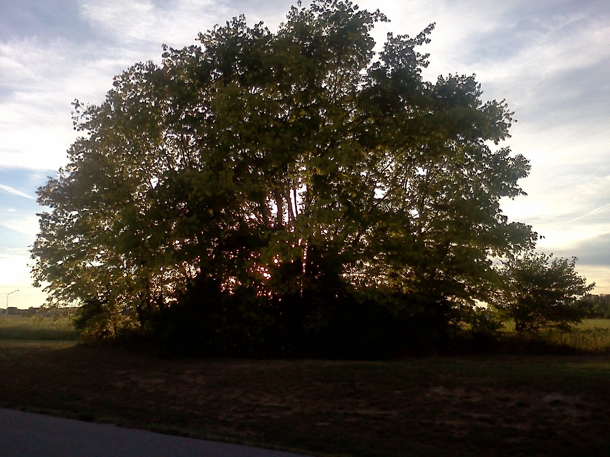 2013-09-14 19.20.28.jpg