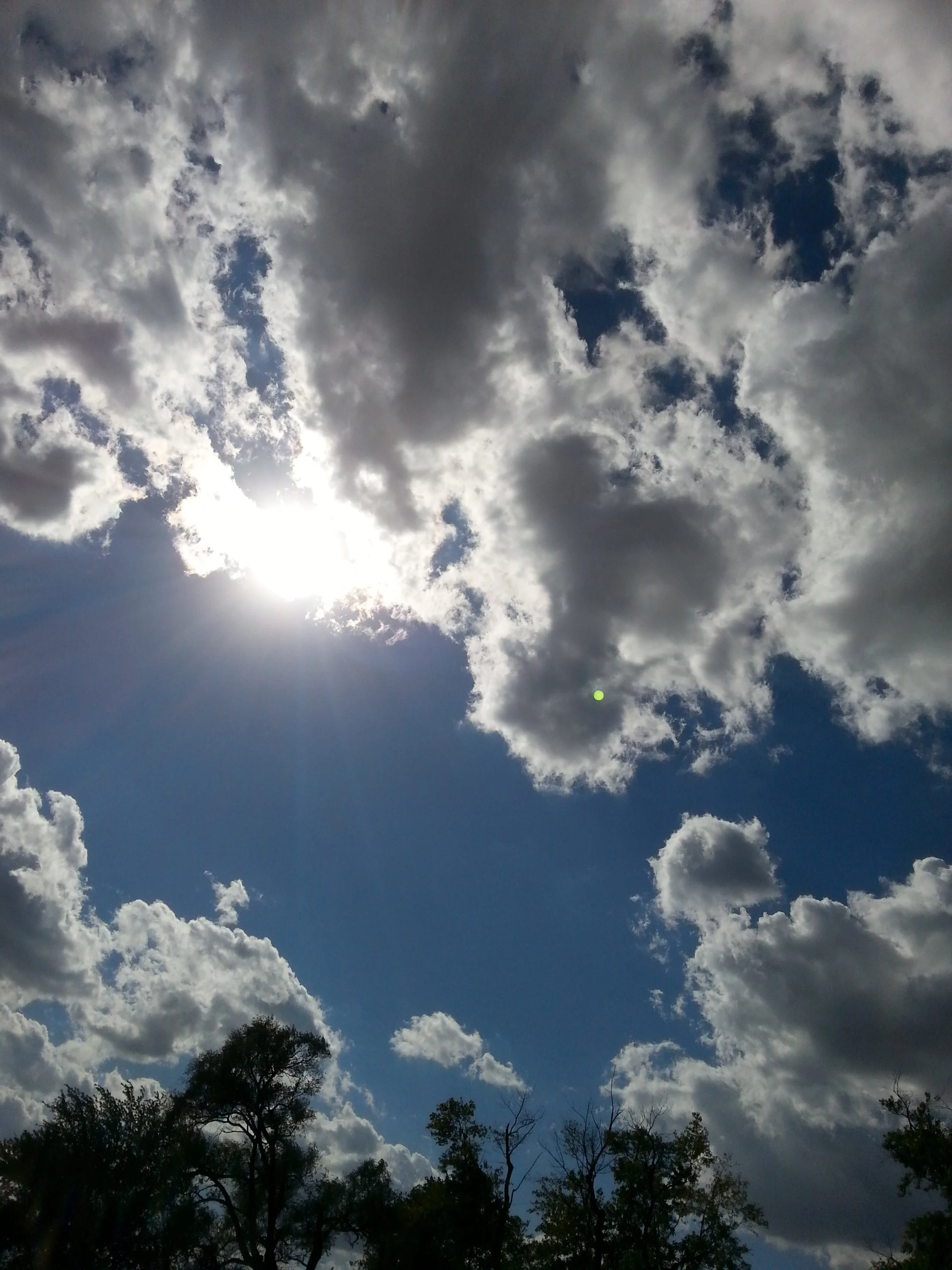 20170929_153630.jpg