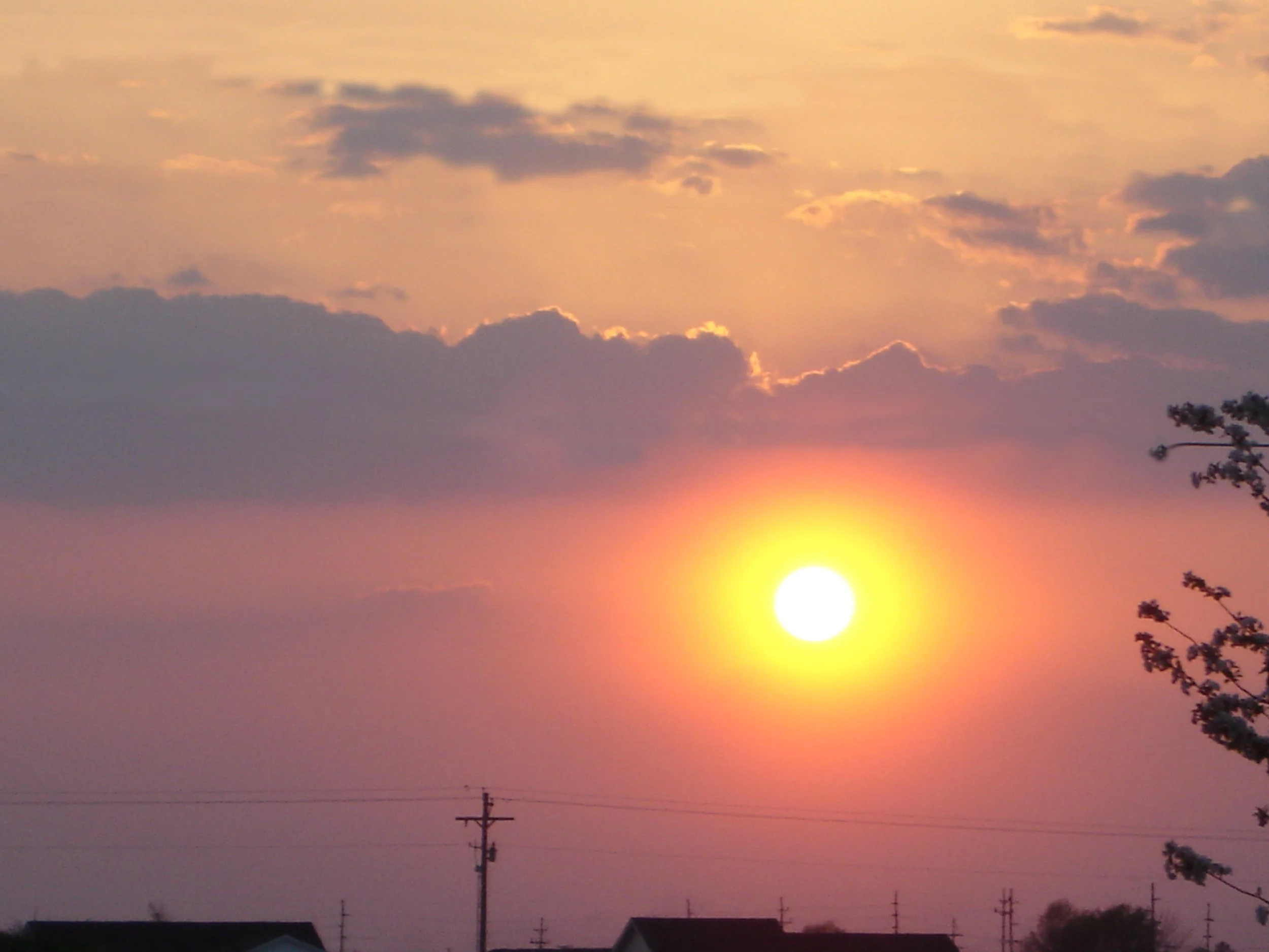sunsetting  redo.jpg