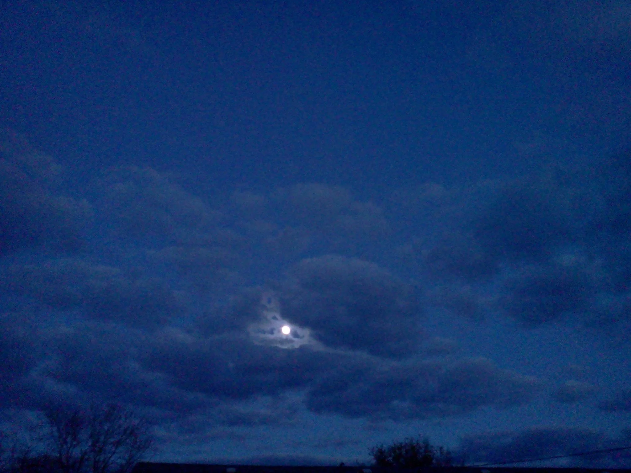 2012-10-27 19.09.23.jpg
