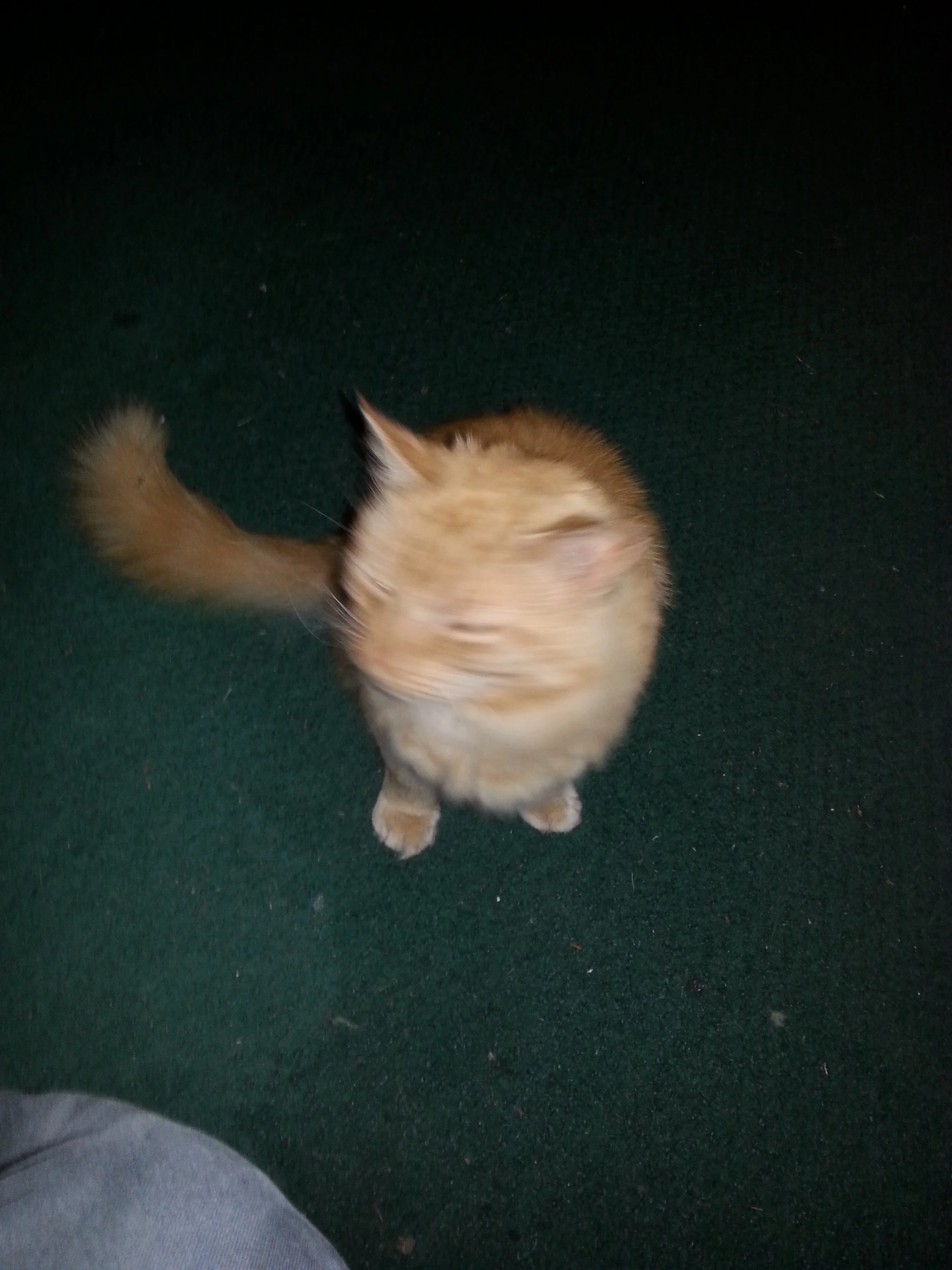 20150703_021705.jpg