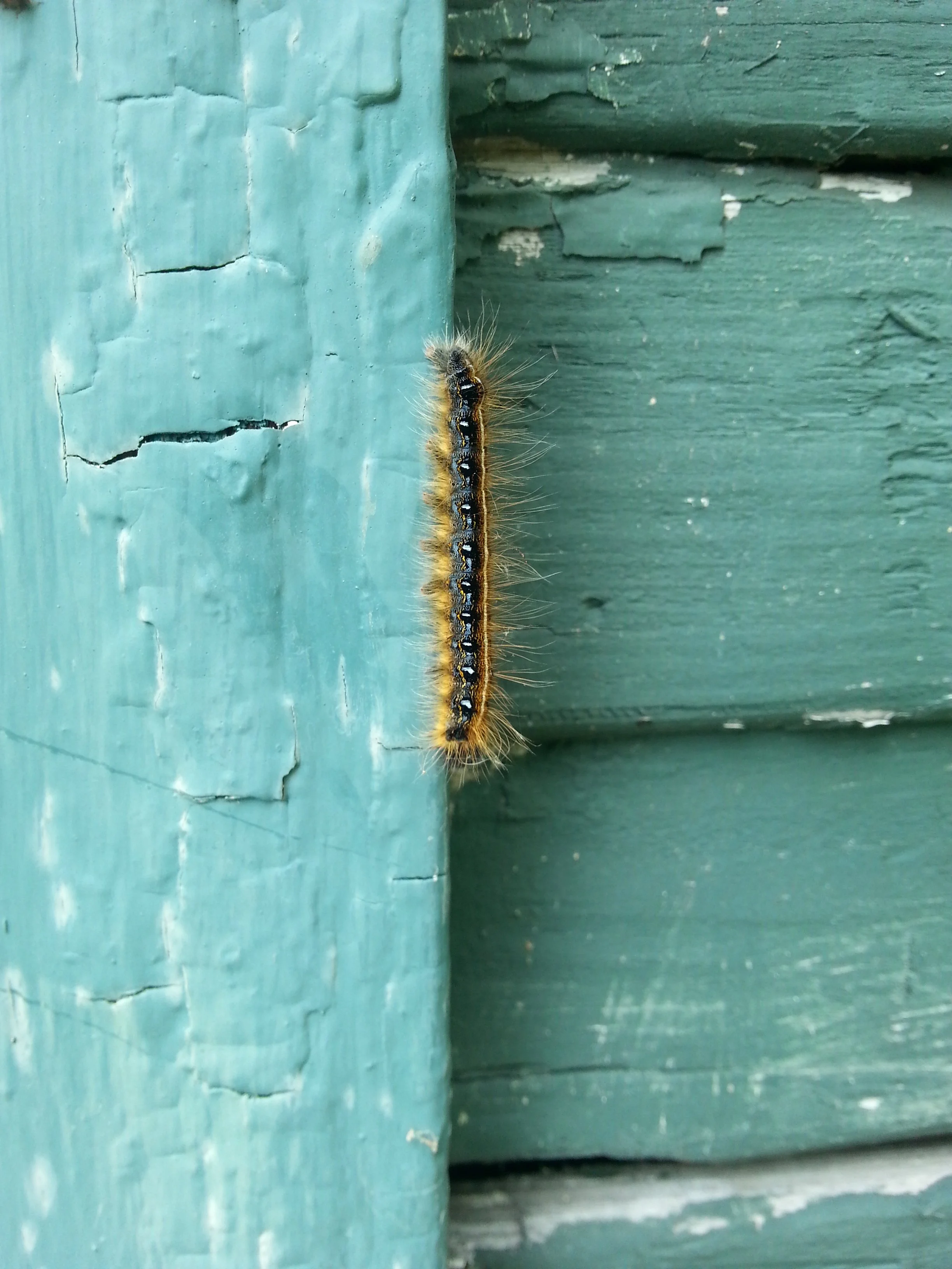 20150506_173143.jpg
