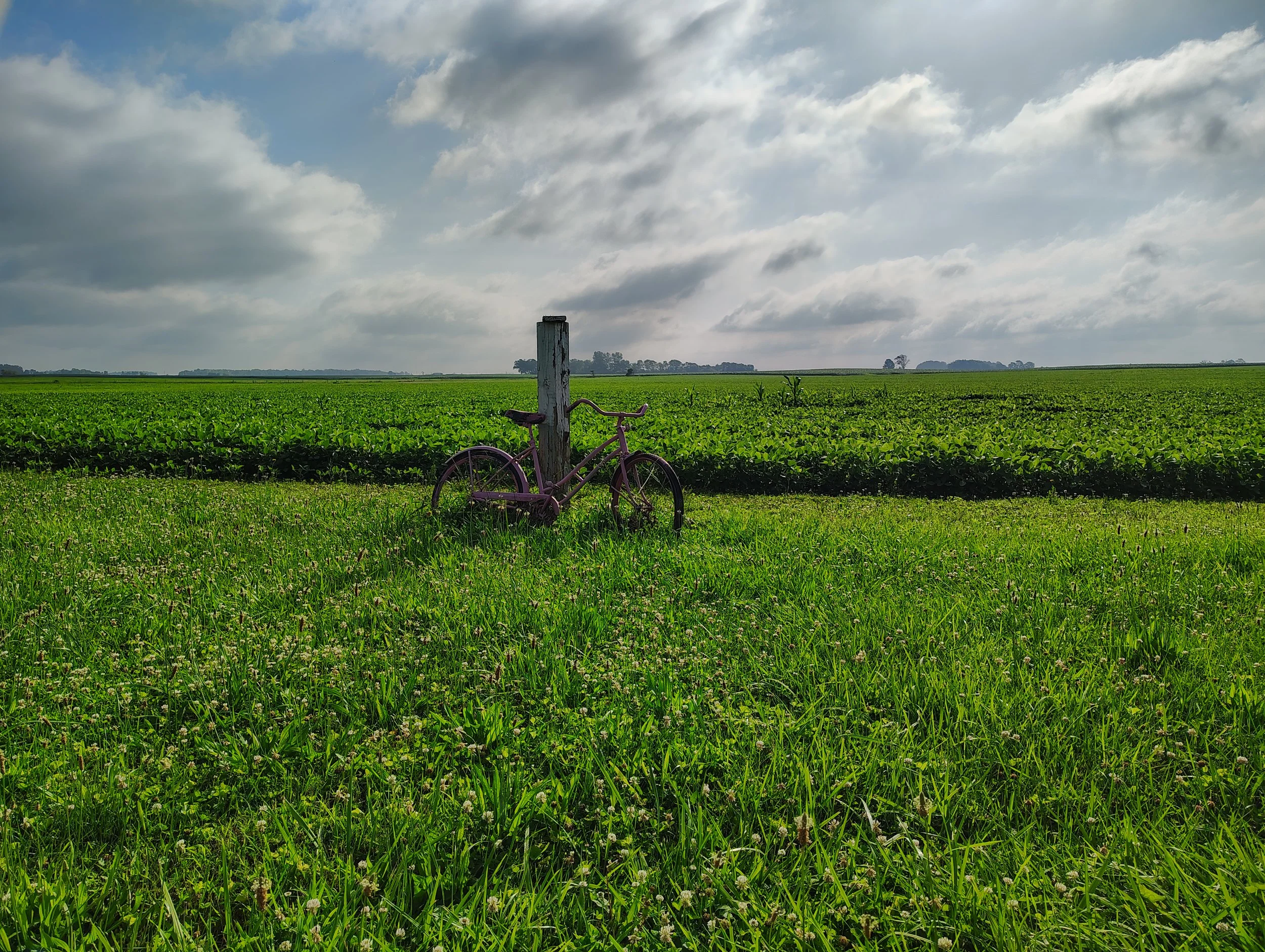 IMG_20260630_090430603_HDR.jpg