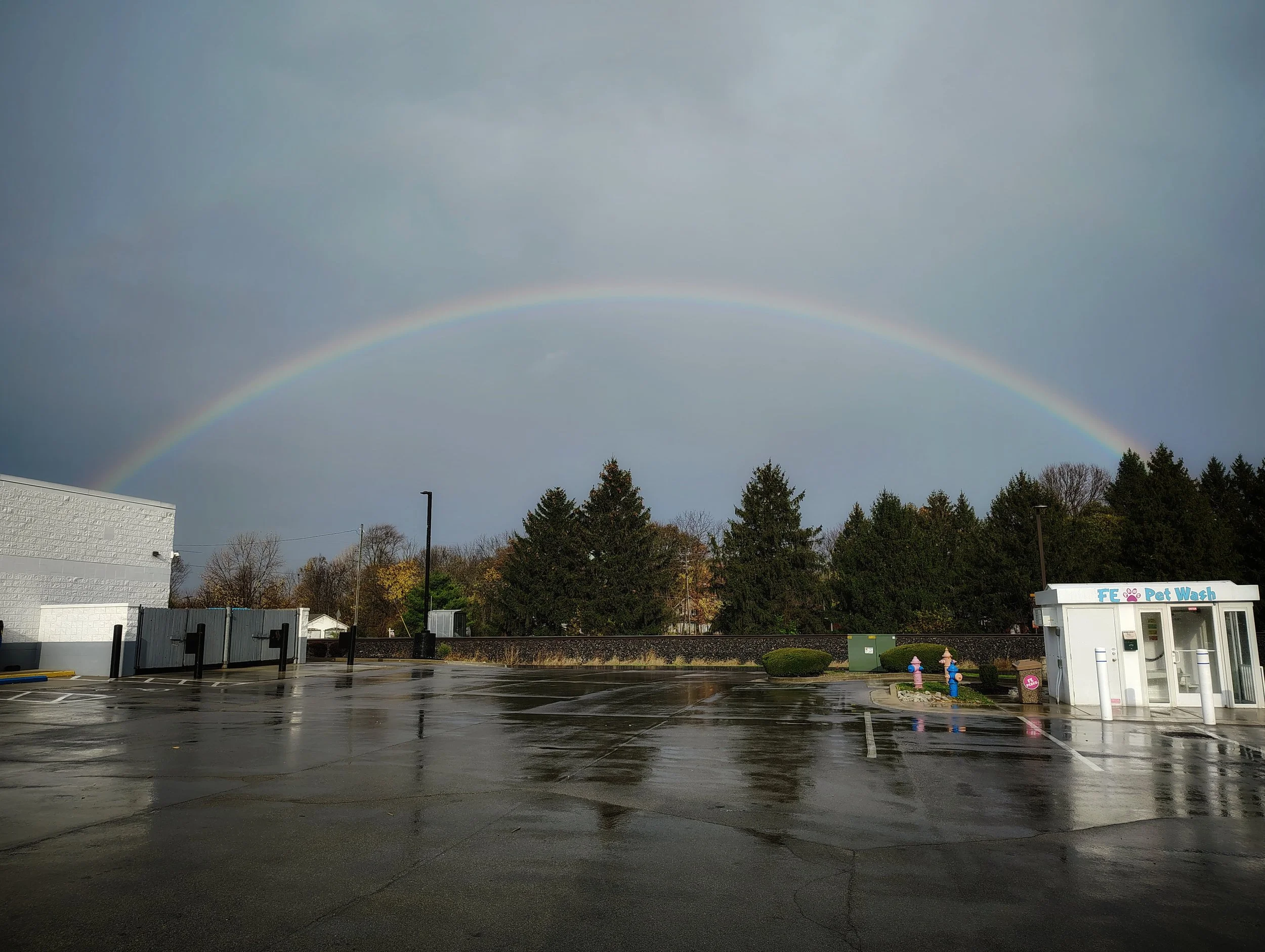 IMG_20241104_091930330_HDR(1).jpg