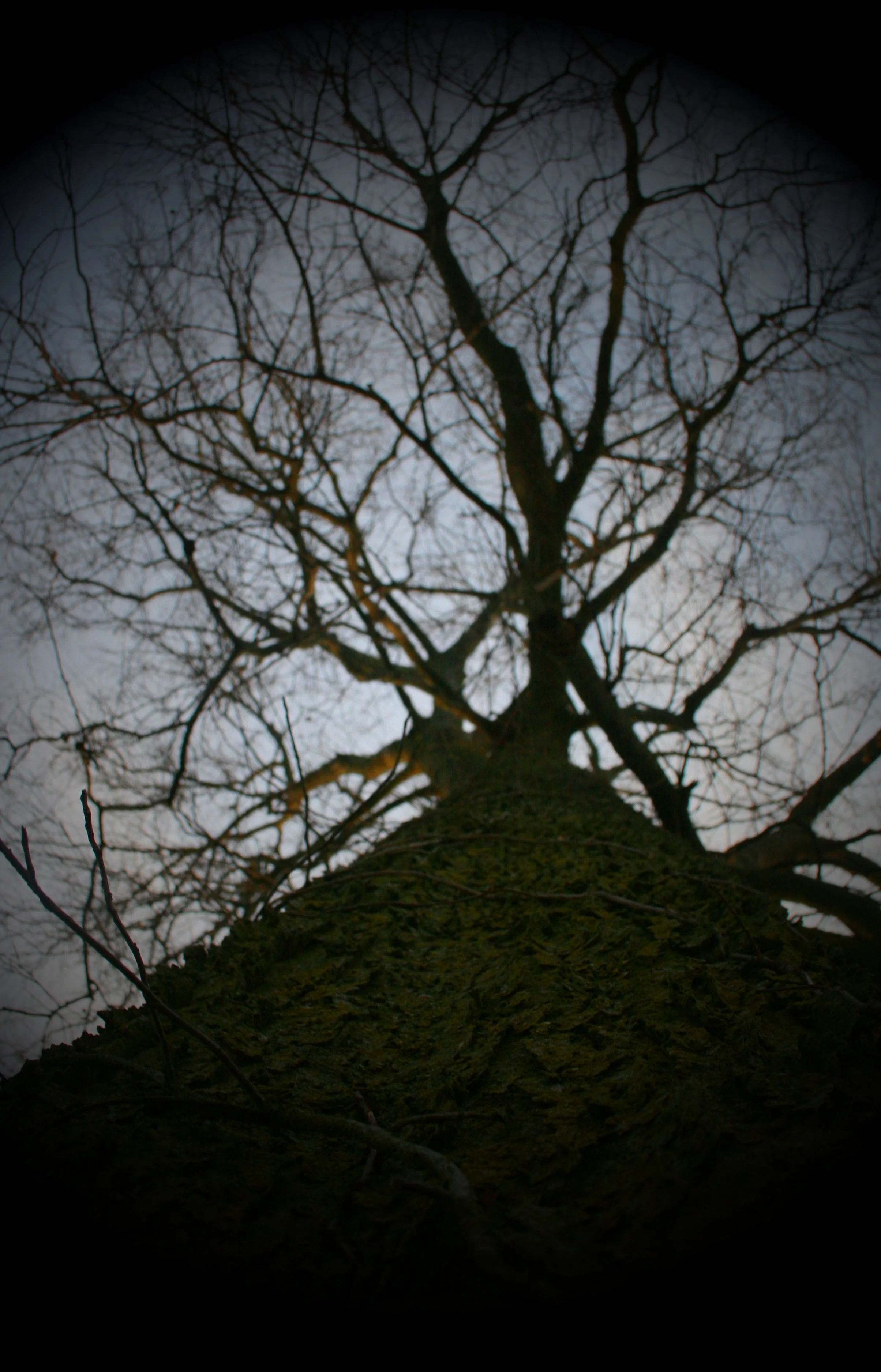2011-12-03 09.45.47.jpg