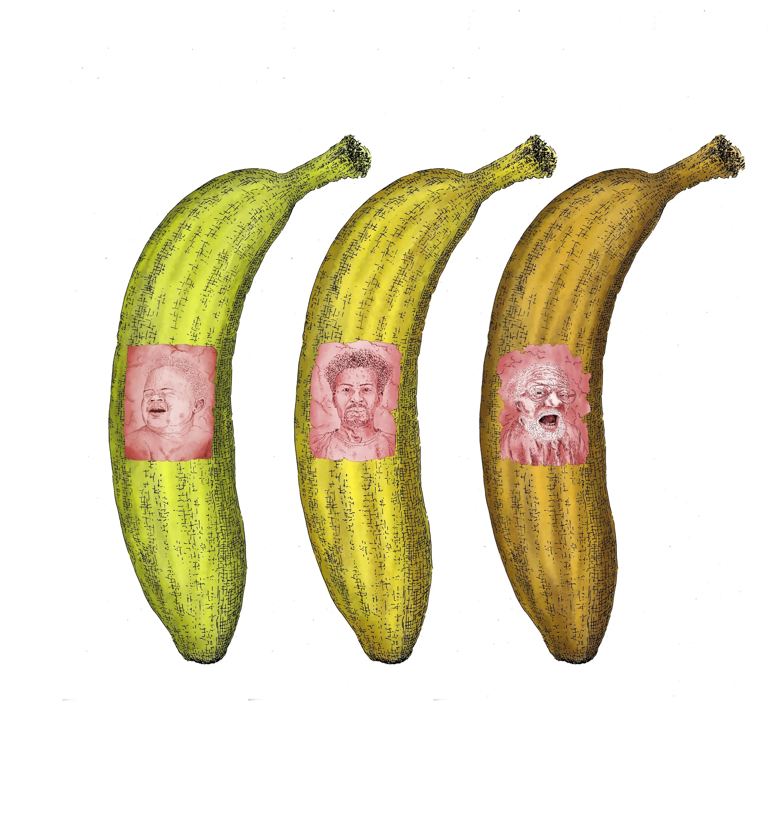 Three bananas with faces of people on pink backgrounds inside the peel, arranged from green to brown.