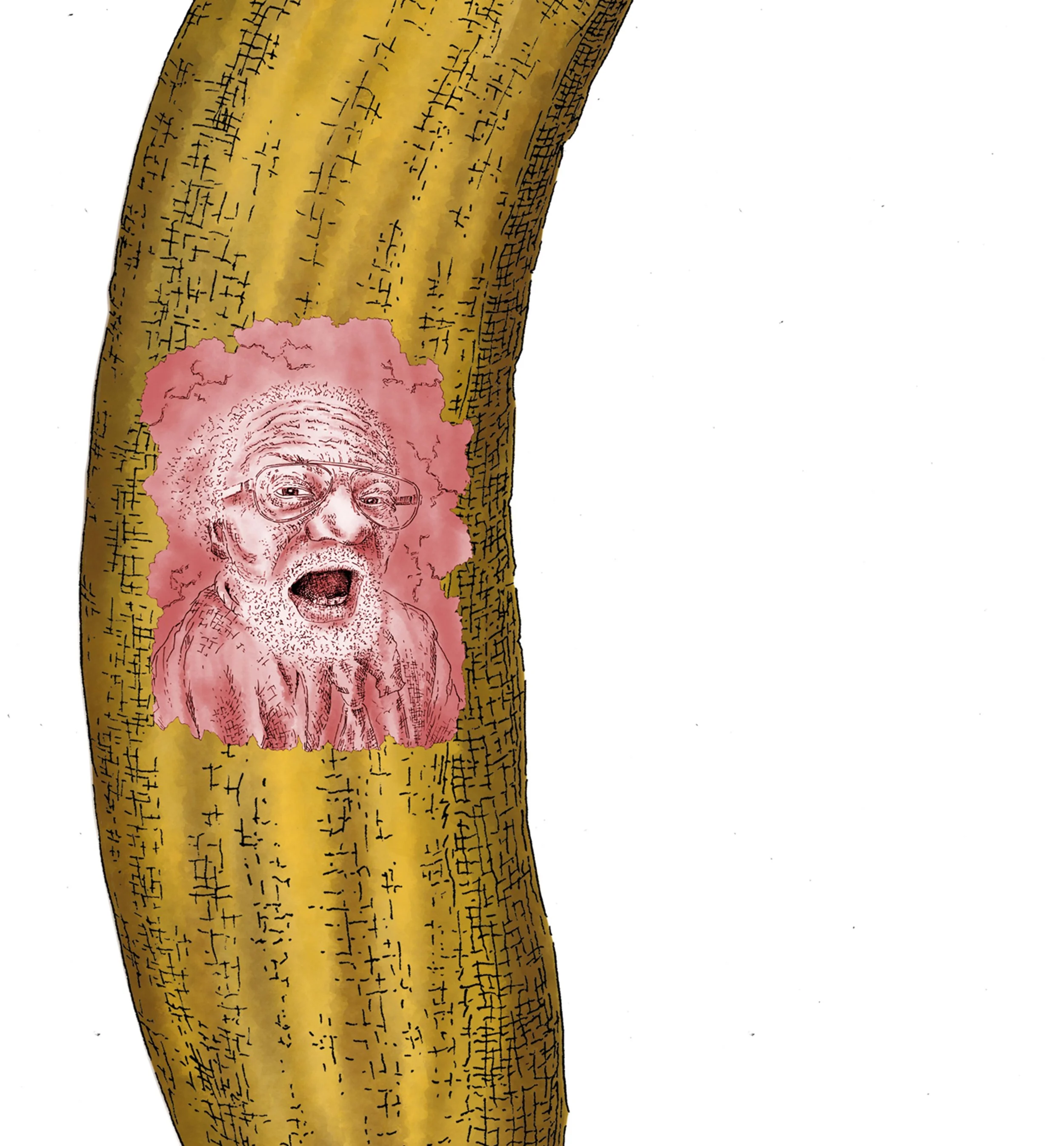 A cartoon-style illustration of a log with a tree ring pattern at the bottom and a pink-haired elderly man with glasses on the log.