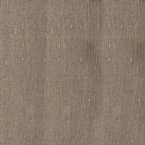 67 - GRIGIO SLUIERGRIJS