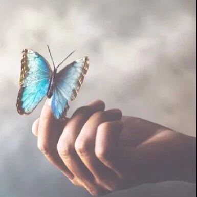 Touched by a moment of bliss 
❤️
The beauty of nature can be so touching. 
#moments #achtsamkeit #lovefornature #positivevibes #leichtigkeit #dankbarsein #liebedienatur #bliss_body_ayurveda_therapy