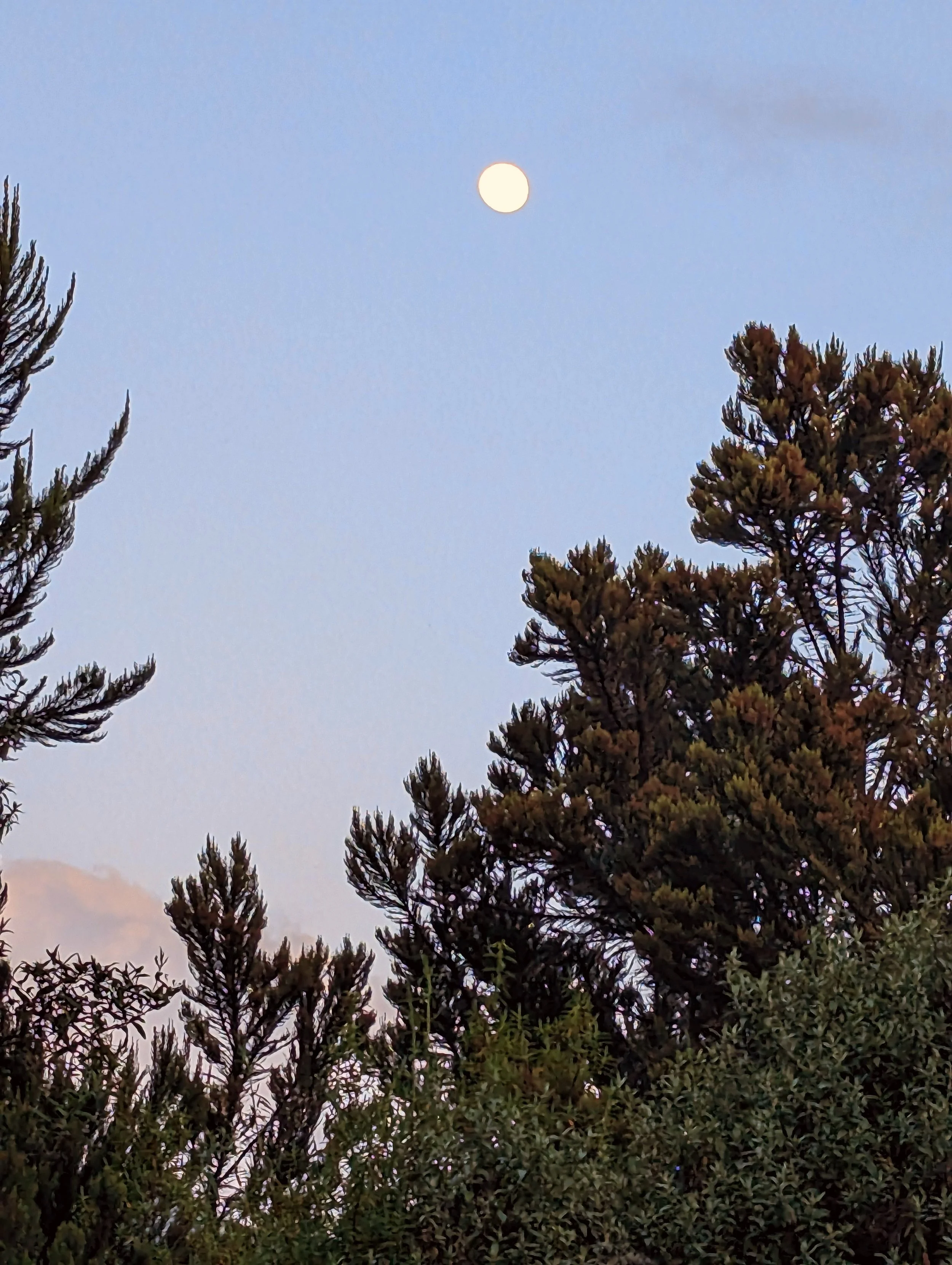 The moon rising as we completed the first day of the hike.