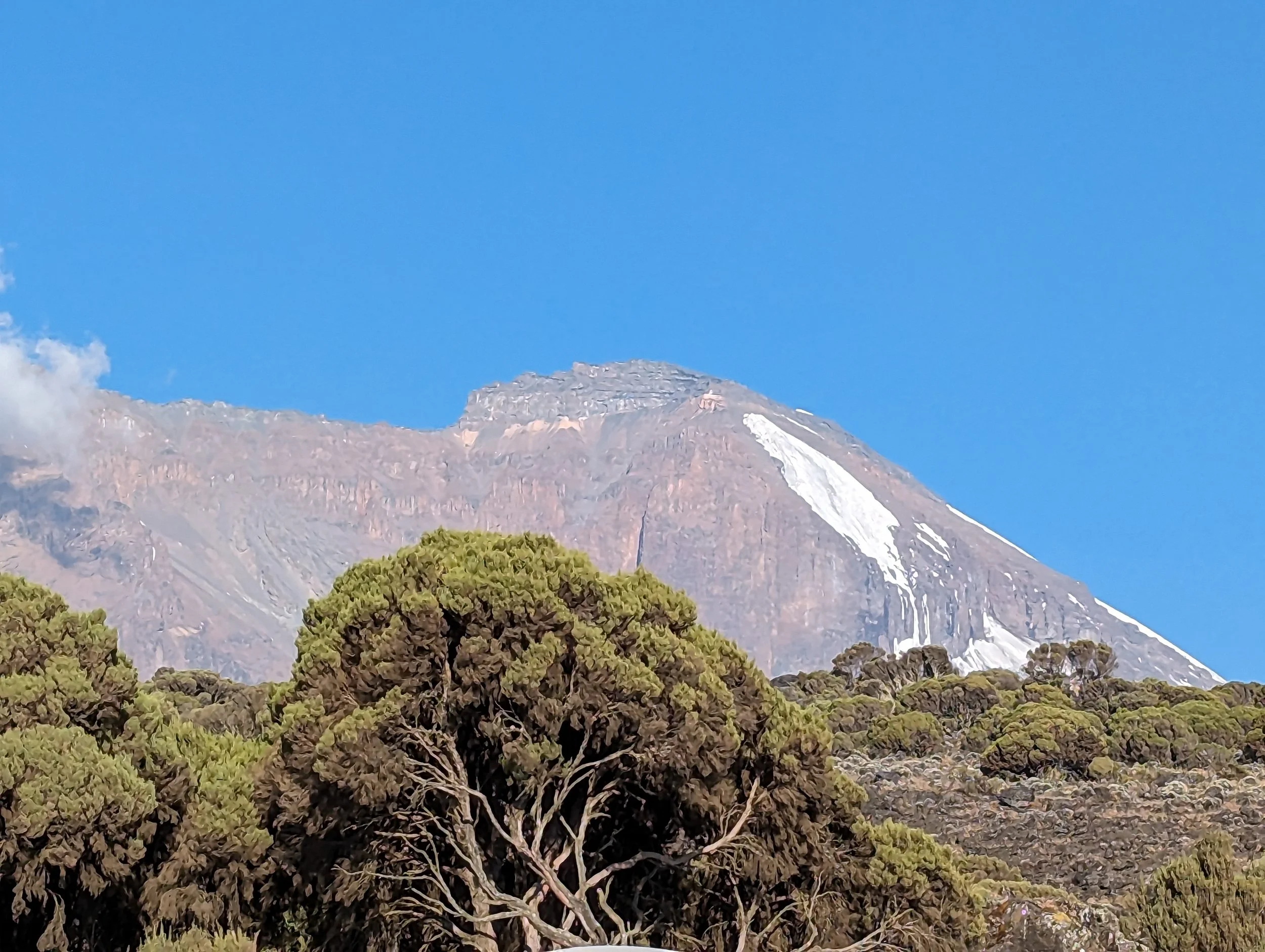 Uhuru Peak off in the distance