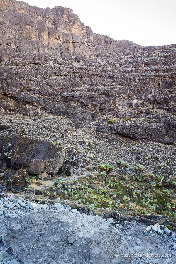 Kilimanjaro_0682_pp.jpg