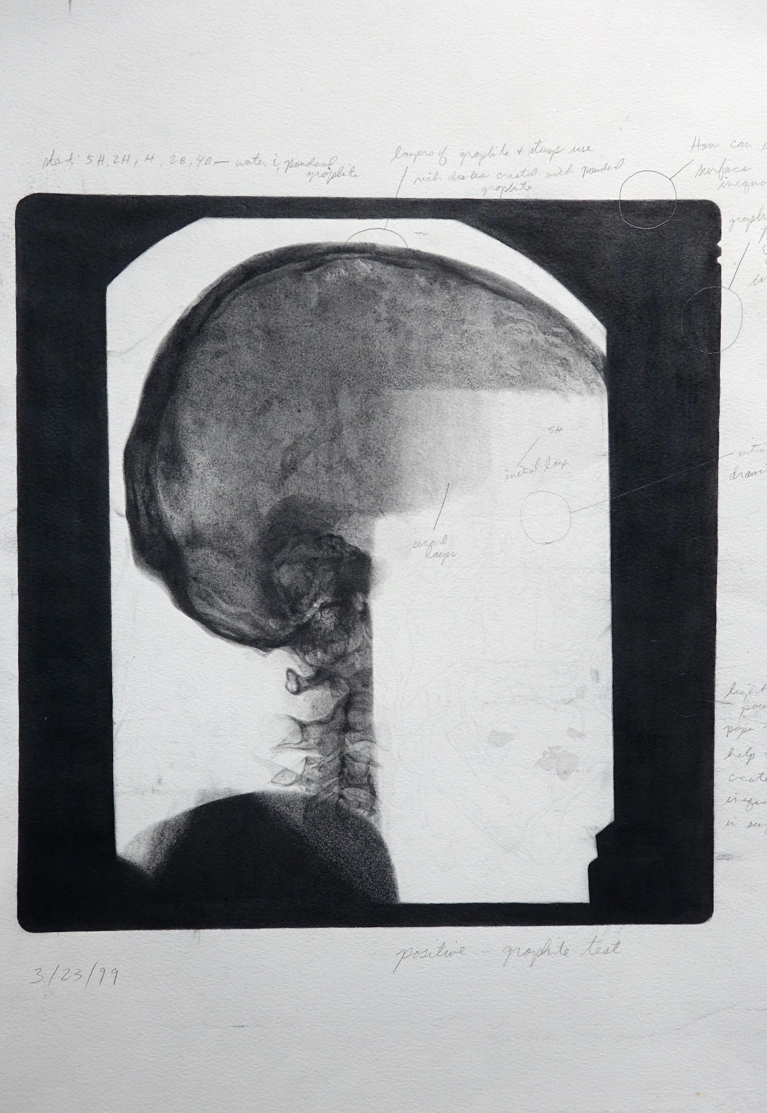 Untitled, graphite on paper 24" x 30"  Catalogue #SW0059