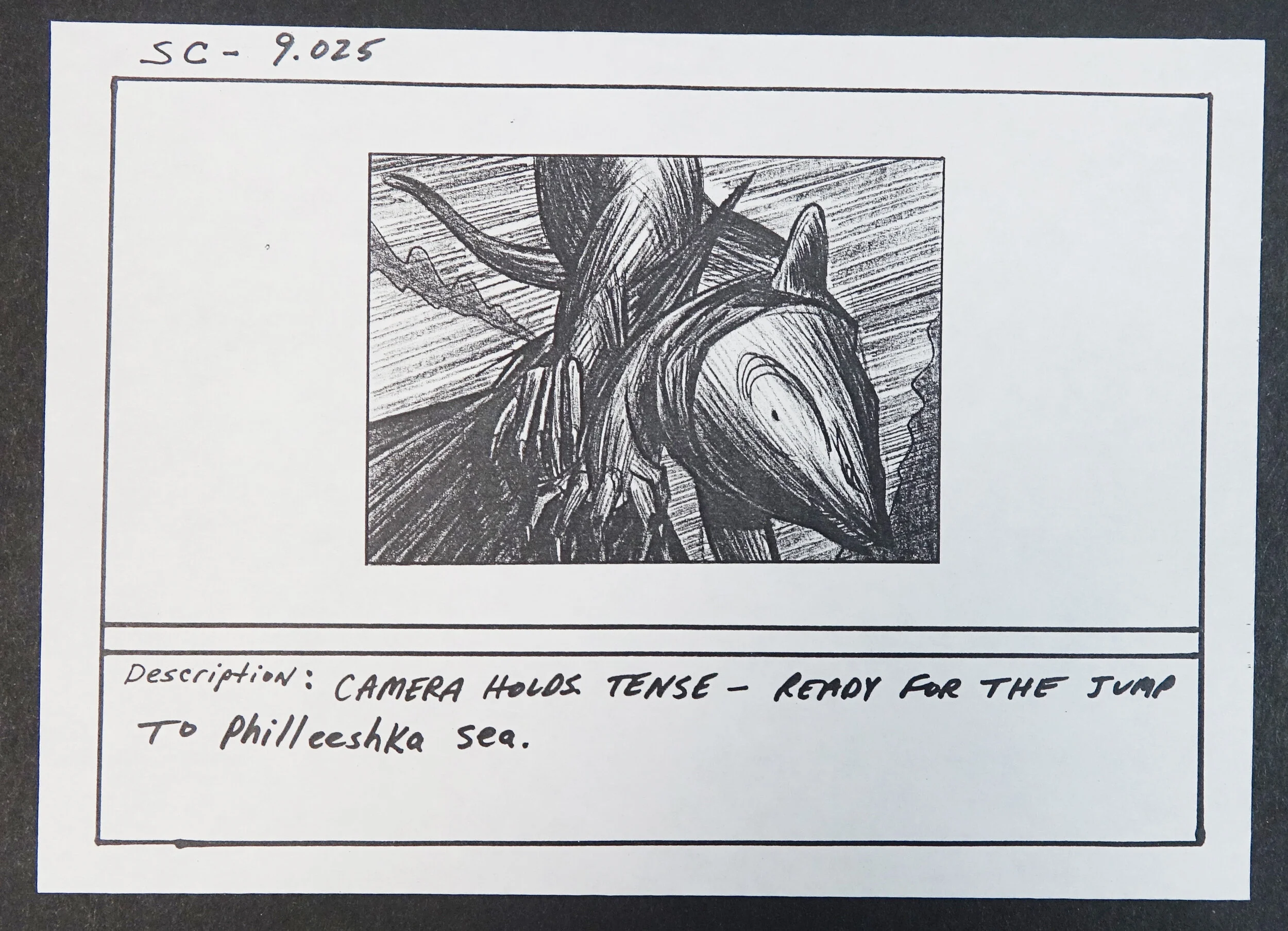 Storyboard  2 Catalogue #SW00157