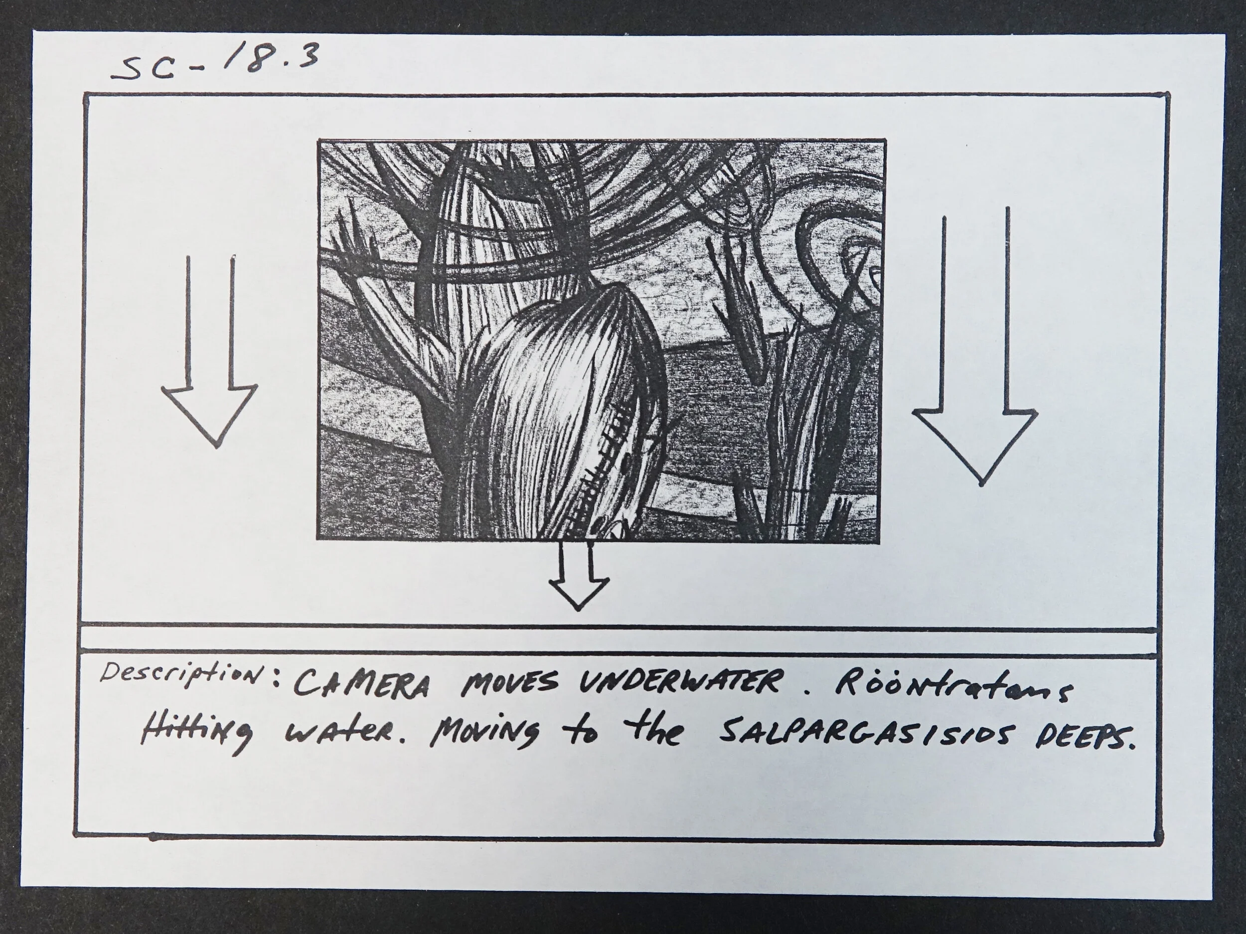 Storyboard 2 Catalogue #SW00161