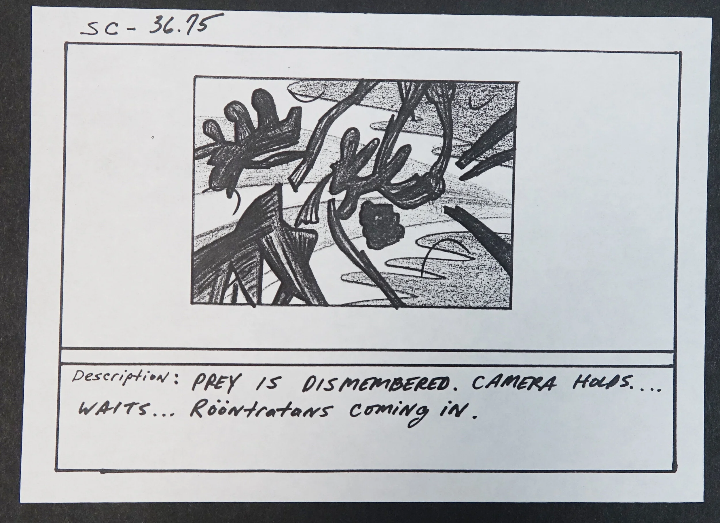 Storyboard 2 Catalogue #SW00169