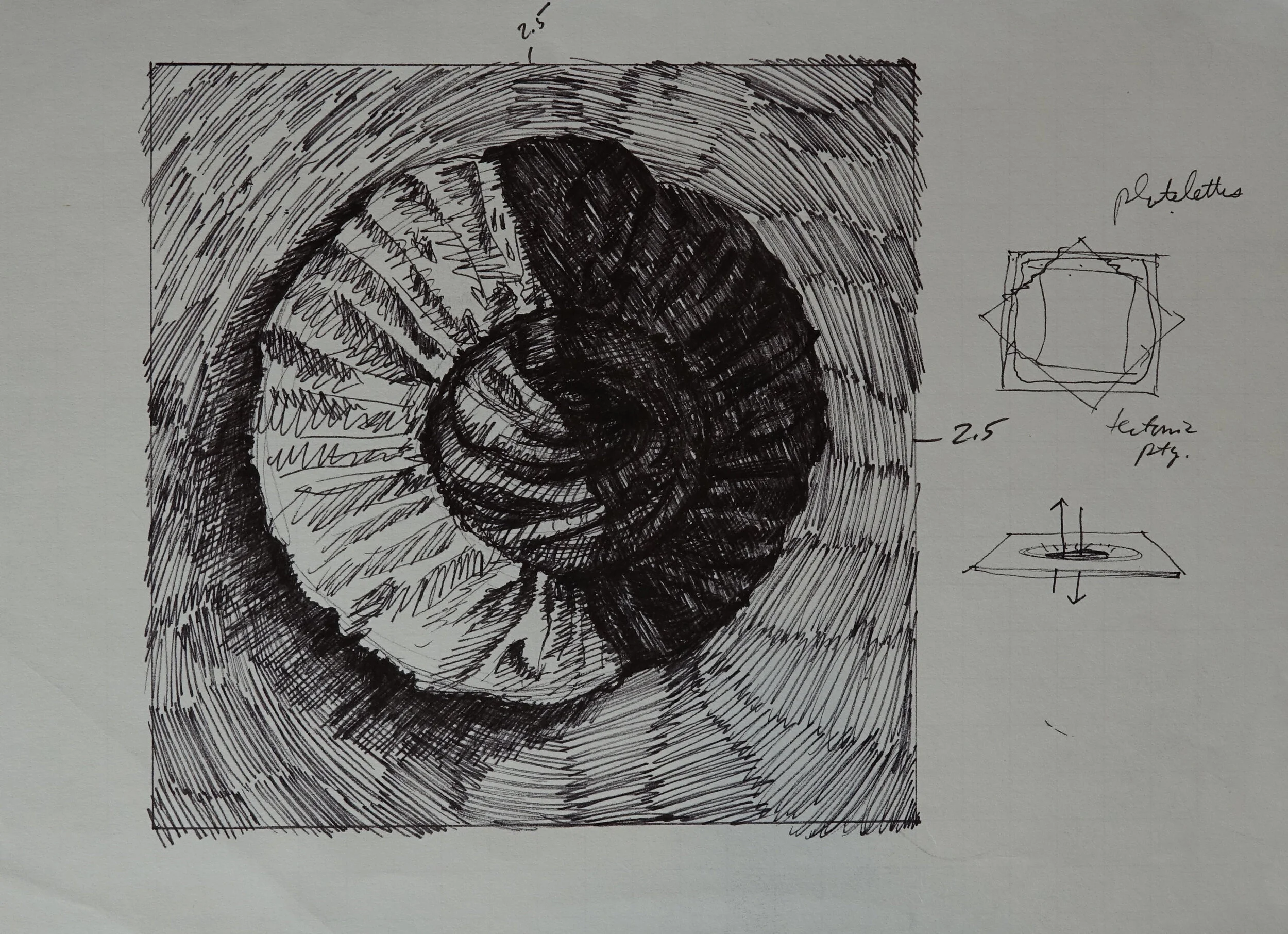 8" x 10", 2005 Catalogue #CCcsk 0024