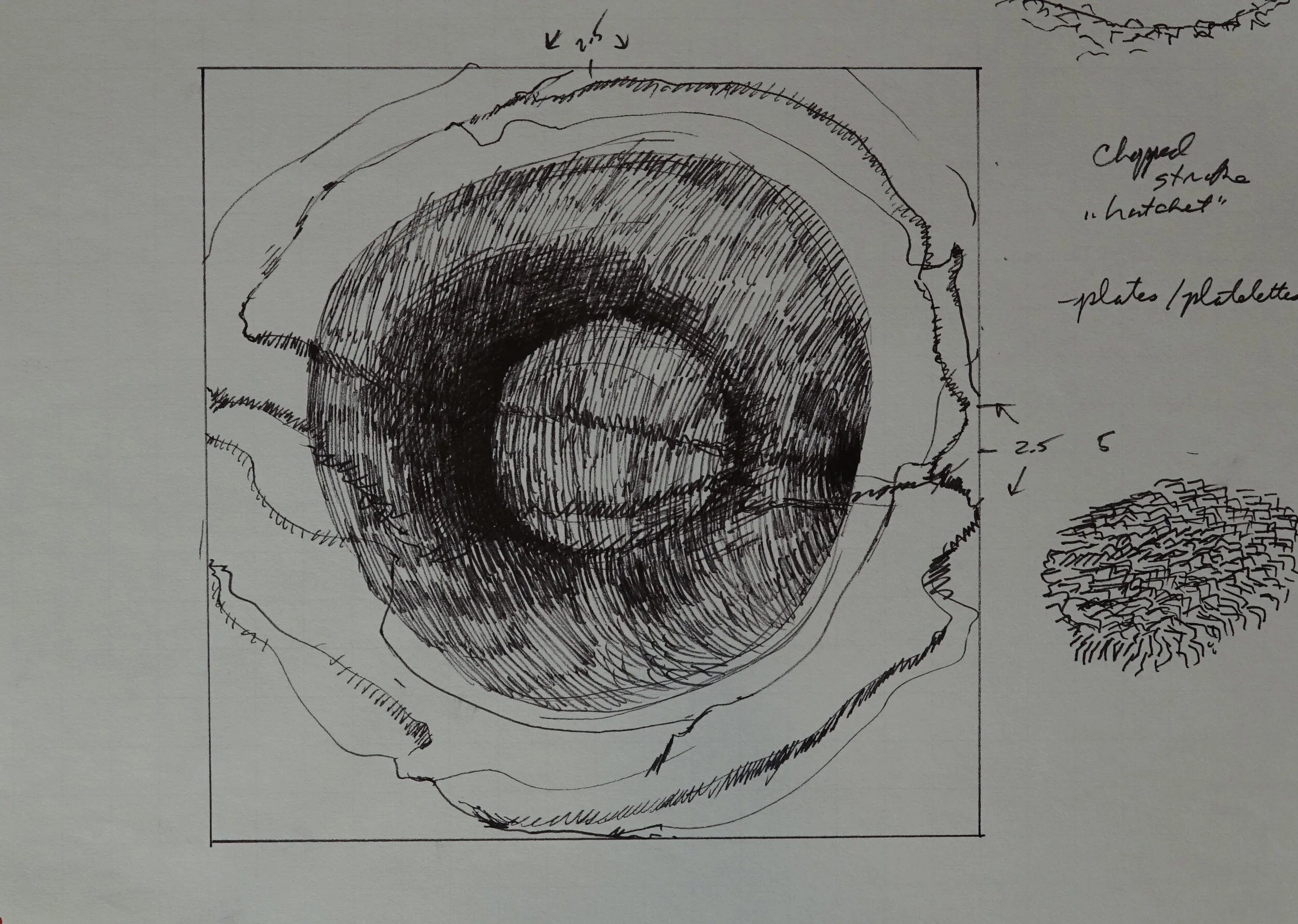 8" x 10", 2005 Catalogue #CCcsk 0029