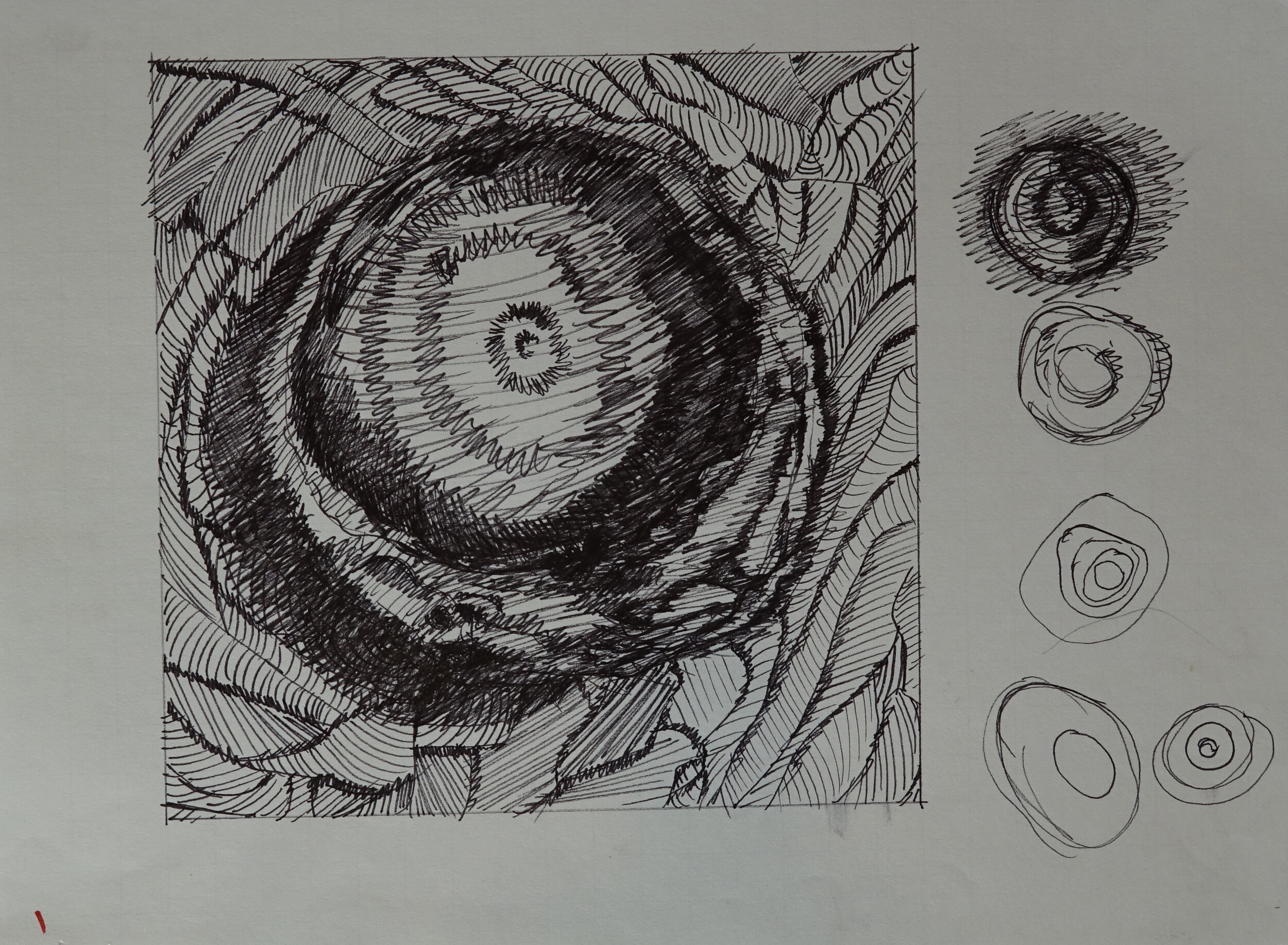 8" x 10", 2005 Catalogue #CCcsk 0031