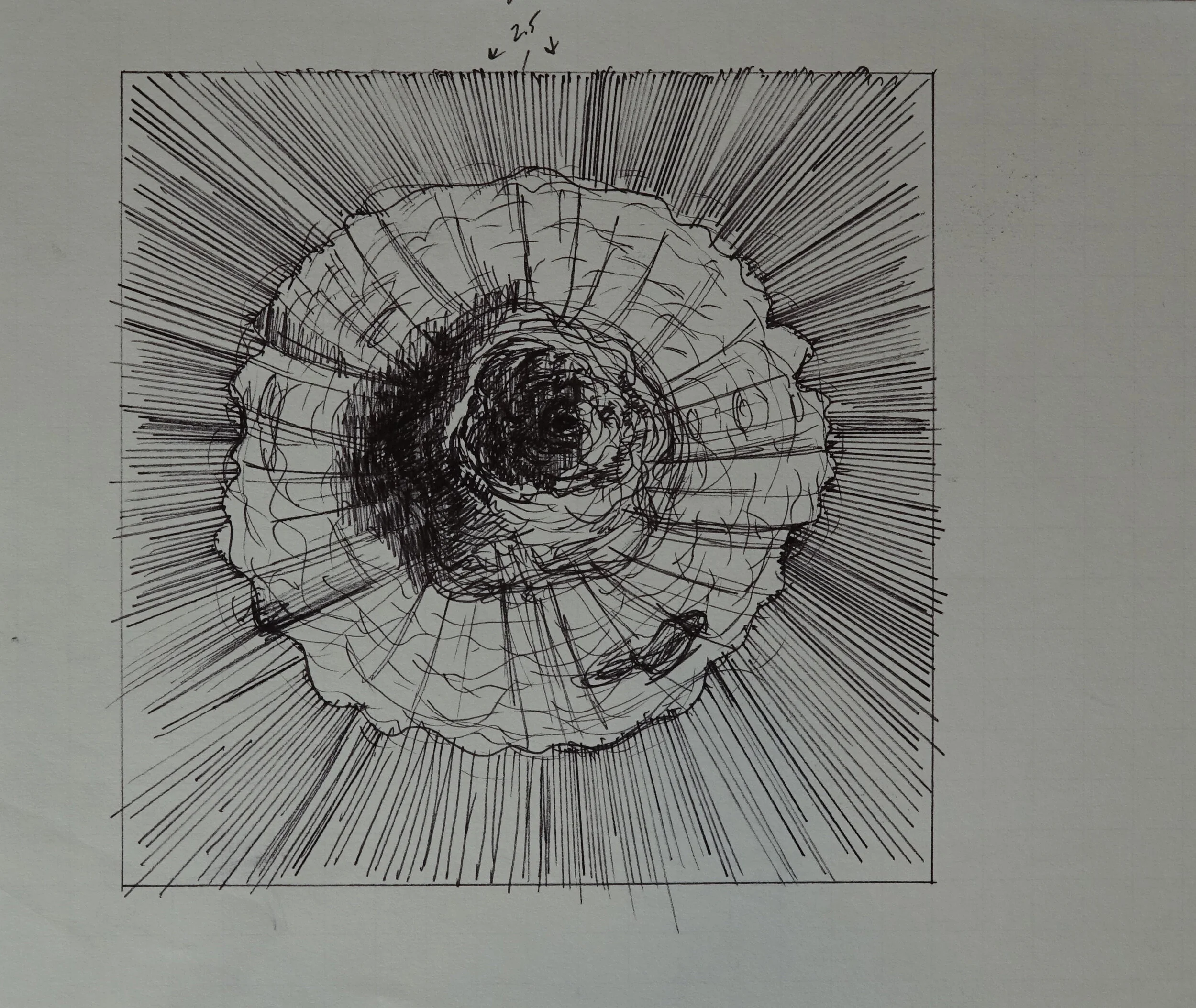 8" x 10", 2005 Catalogue #CCcsk 0041