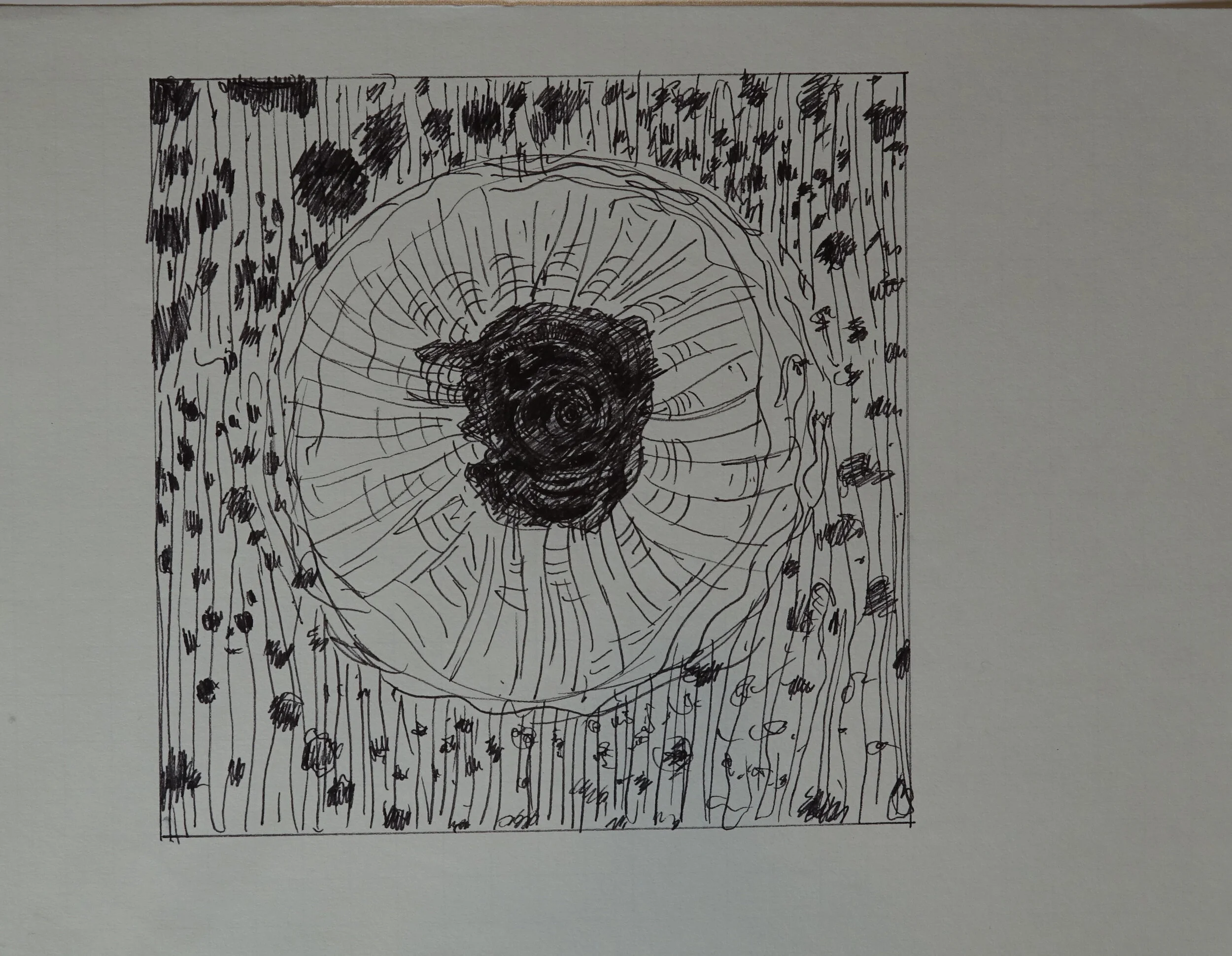 8" x 10", 2005 Catalogue #CCcsk 0053