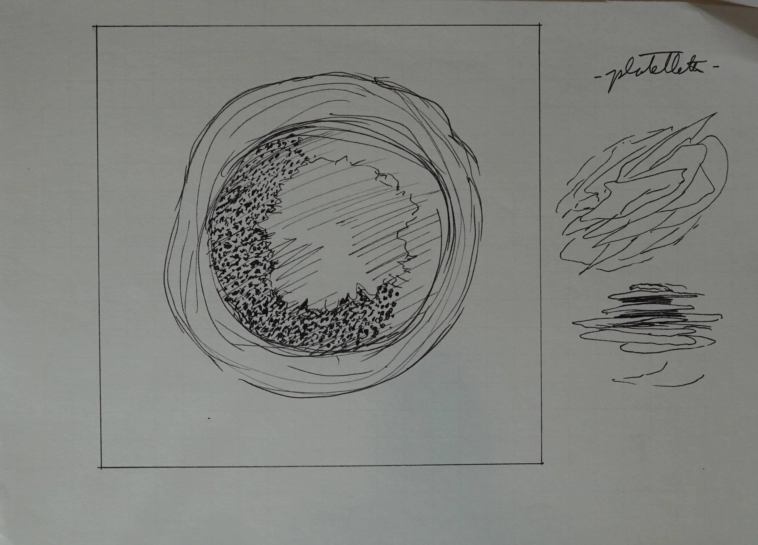 8" x 10", 2005 Catalogue #CCcsk 0062