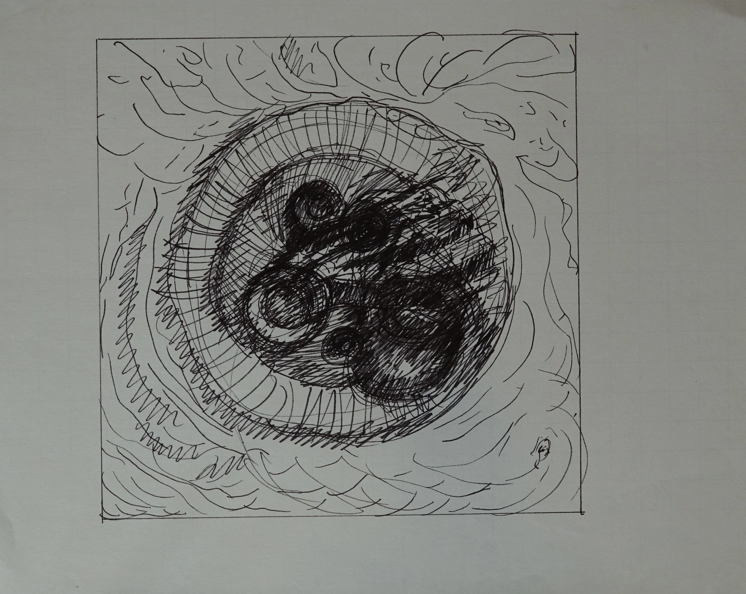 8" x 10", 2005 Catalogue #CCcsk 0069