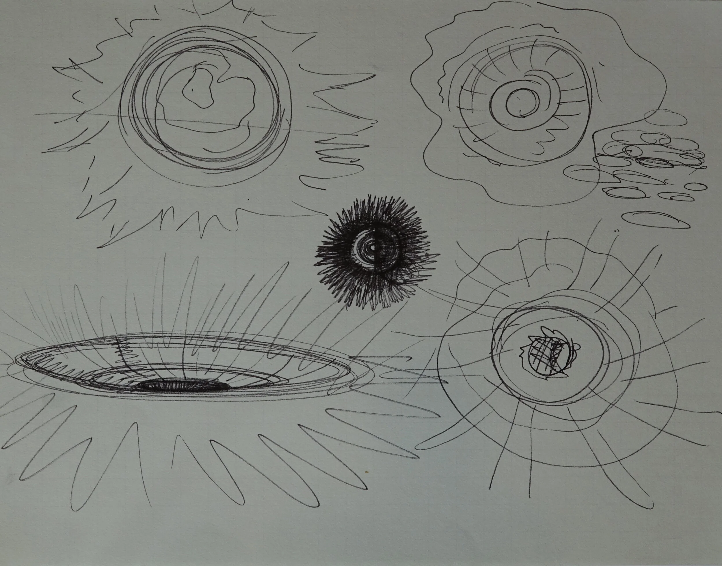 8" x 10", 2005 Catalogue #CCcsk 0099