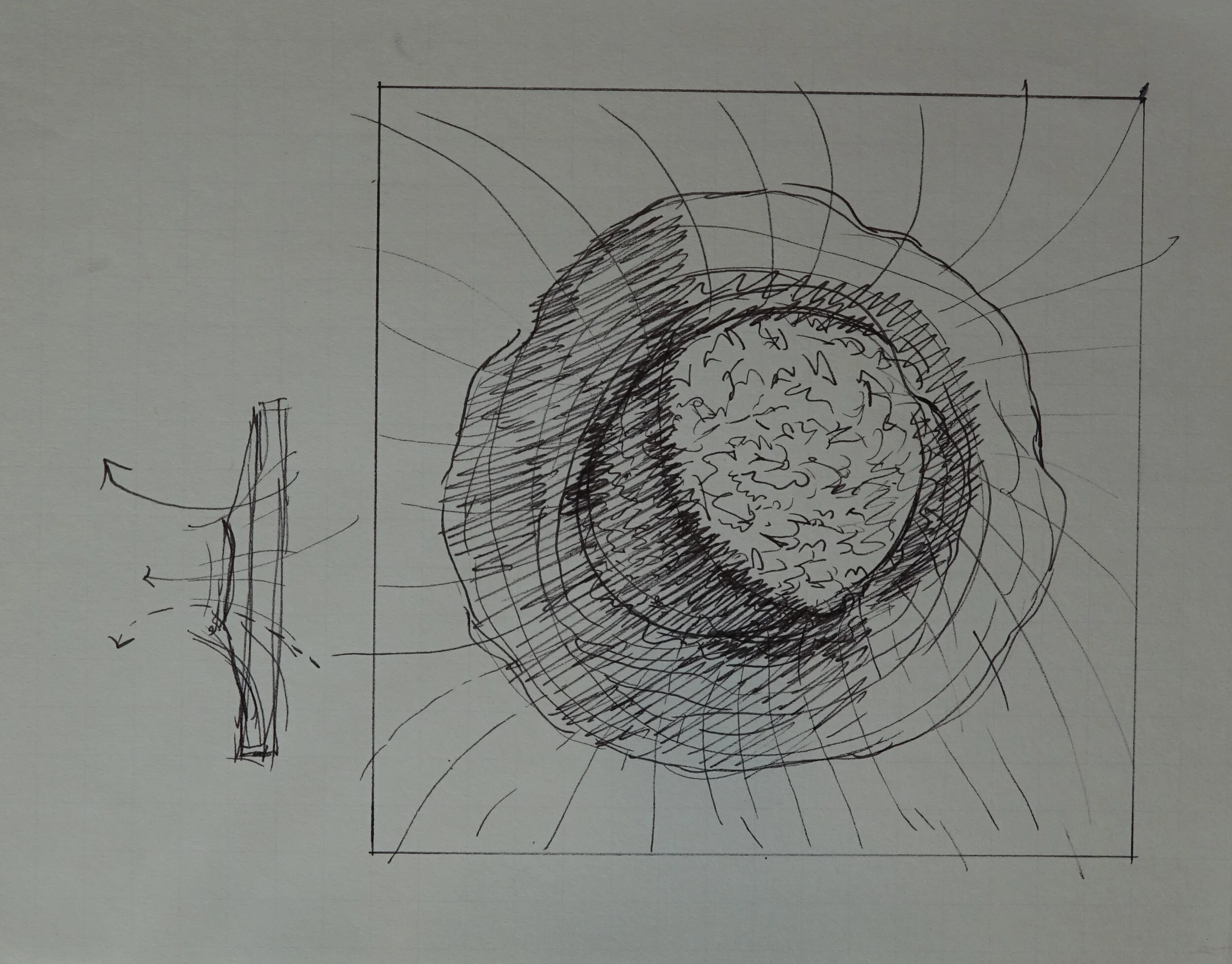 8" x 10", 2005 Catalogue #CCcsk 0095