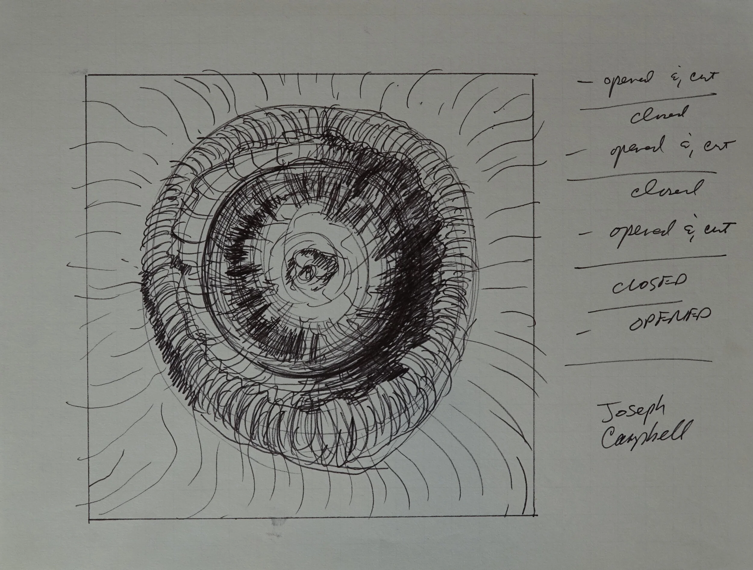 8" x 10", 2005 Catalogue #CCcsk 0105