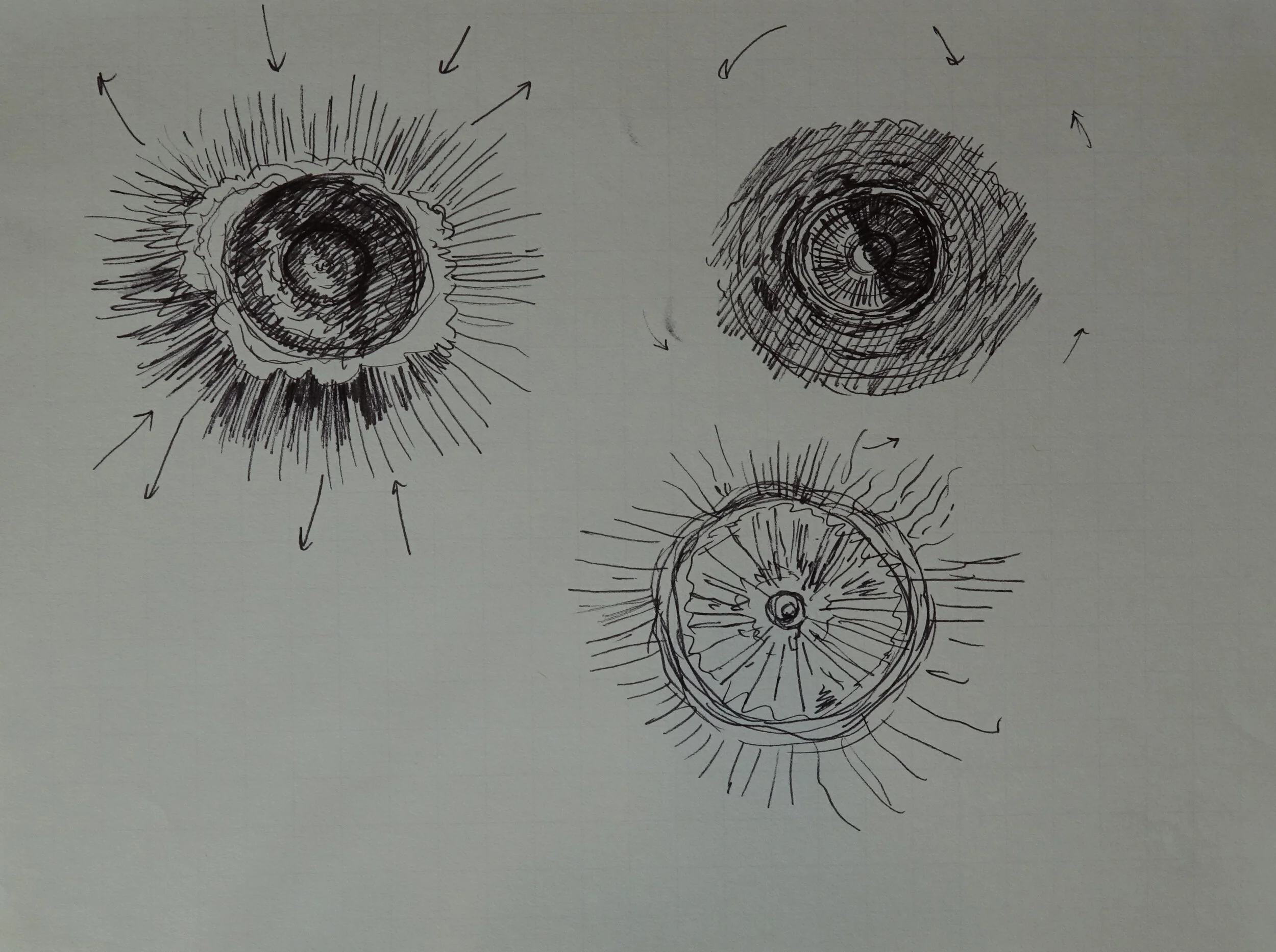 8" x 10", 2005 Catalogue #CCcsk 0109