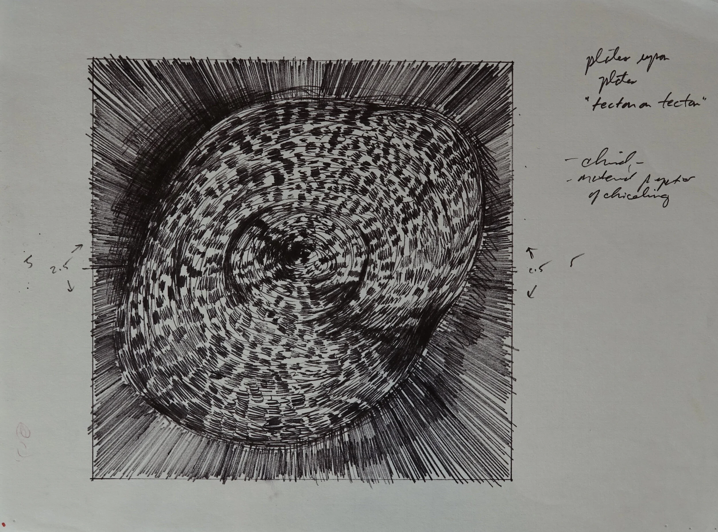 8" x 10", 2005 Catalogue #CCcsk 0113