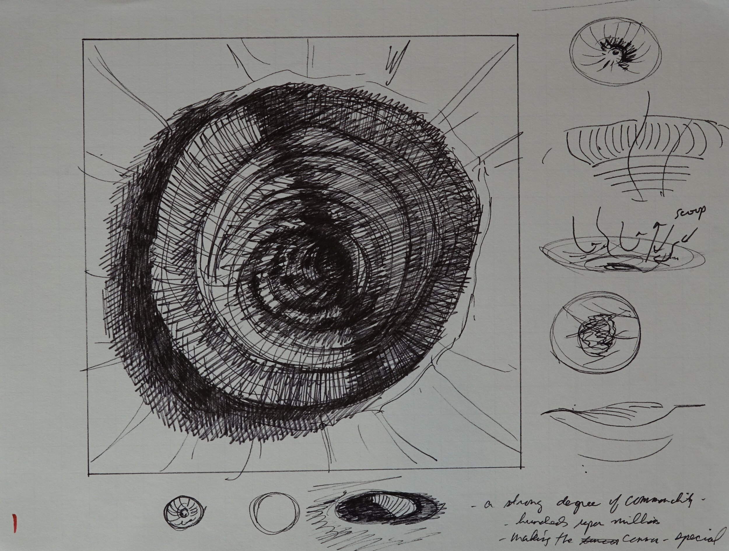 8" x 10", 2005 Catalogue #CCcsk 0115