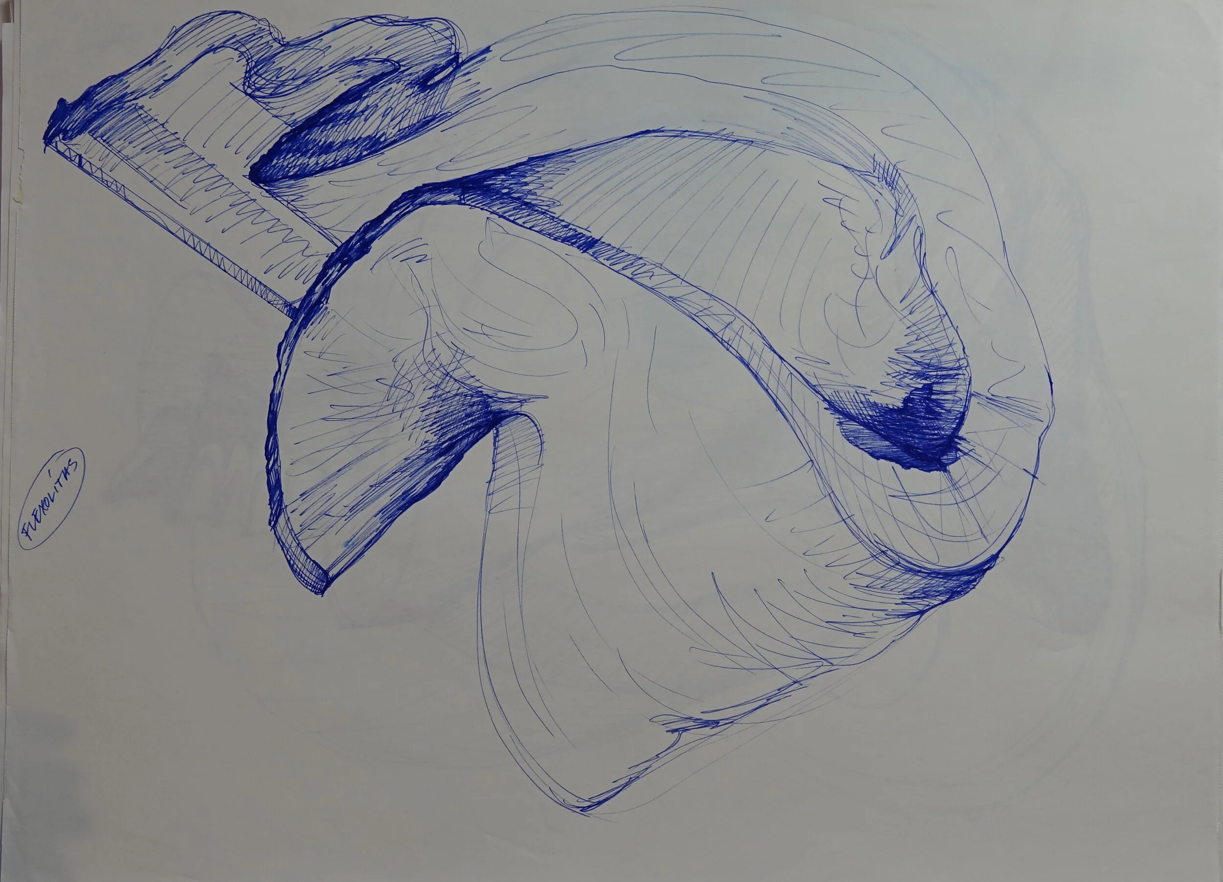 Catalogue #CCcsk 0155