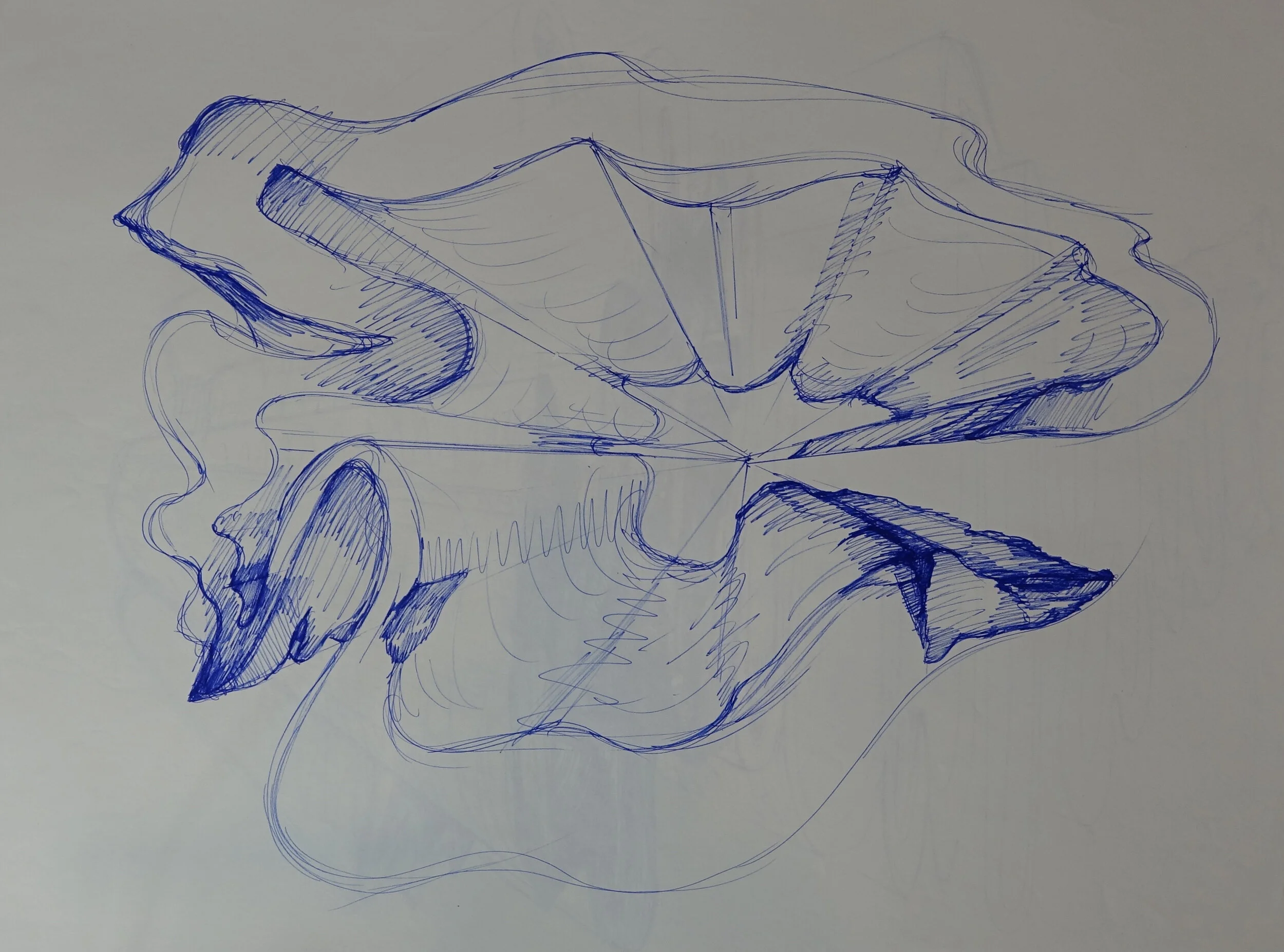 Catalogue #CCcsk 0164