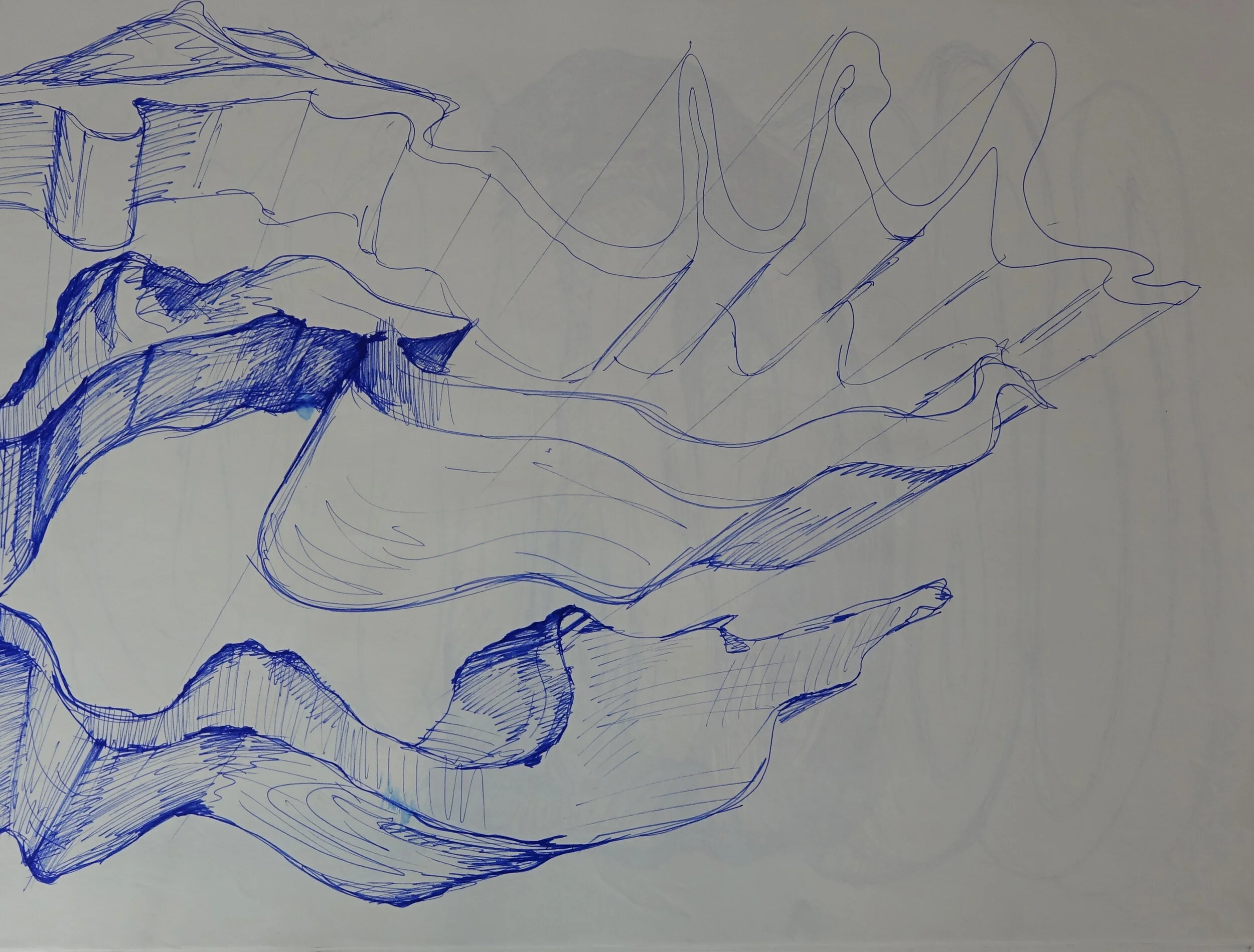 Catalogue #CCcsk 0170