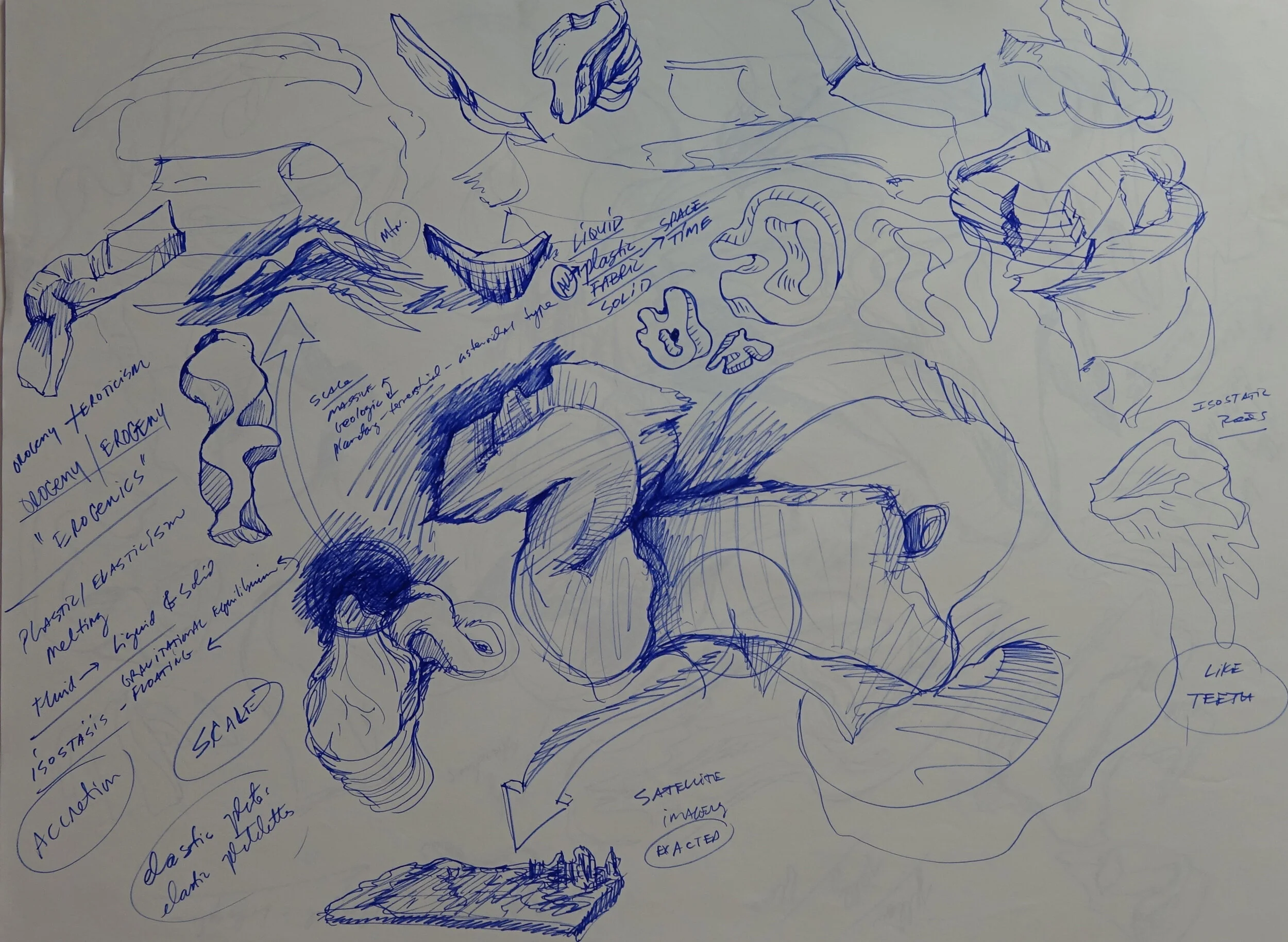 Catalogue #CCcsk 0183